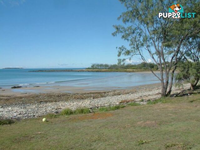 5 Tindaridge Court HAY POINT QLD 4740