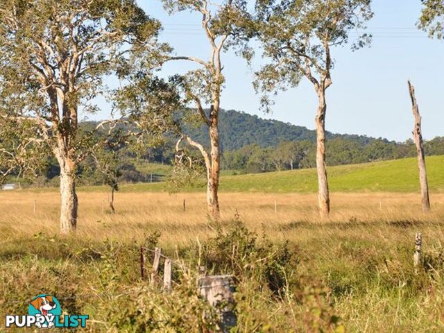 91353 Bruce Highway SARINA QLD 4737