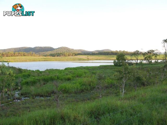 401 Campbells Road KOUMALA QLD 4738