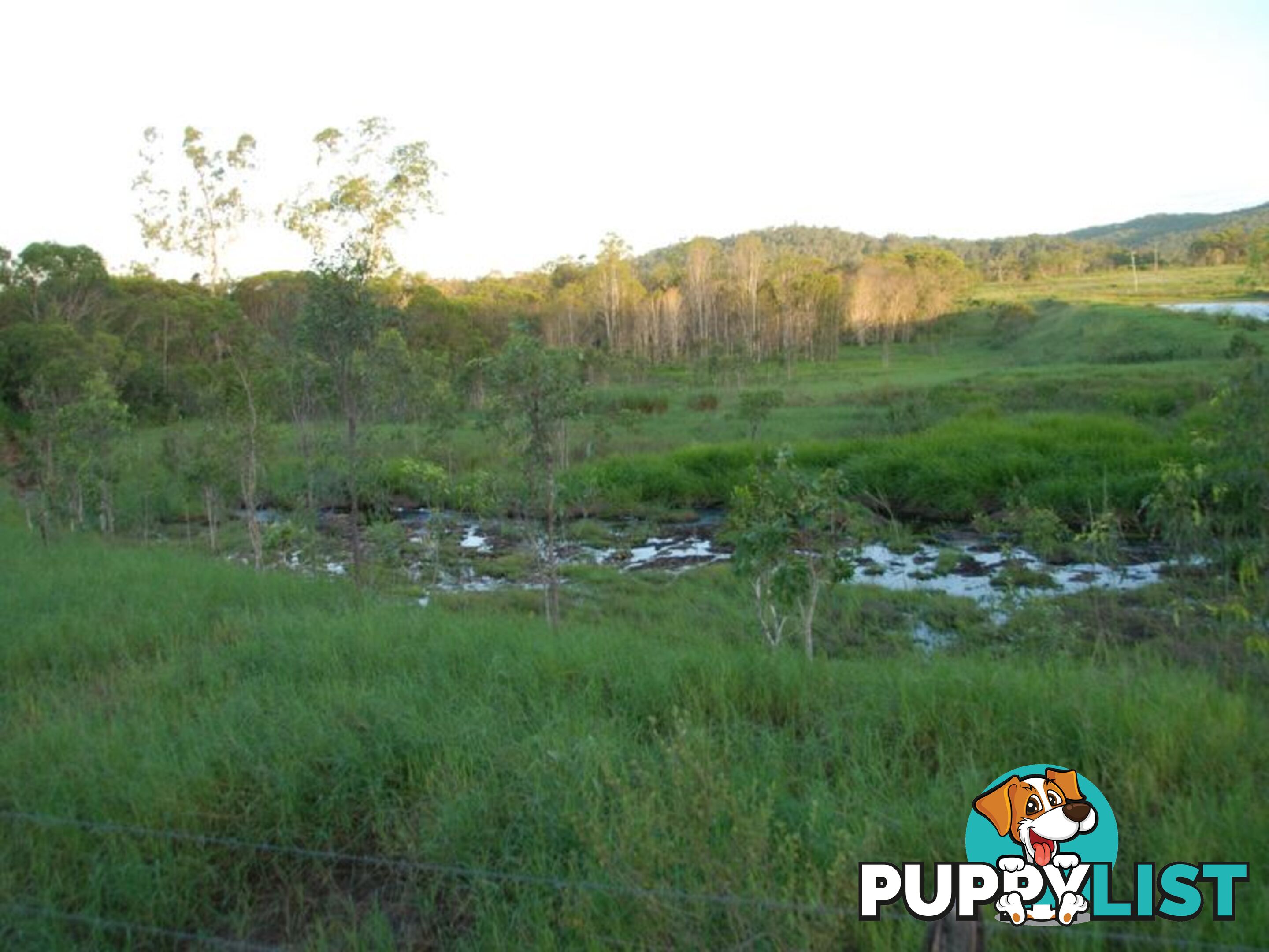 401 Campbells Road KOUMALA QLD 4738