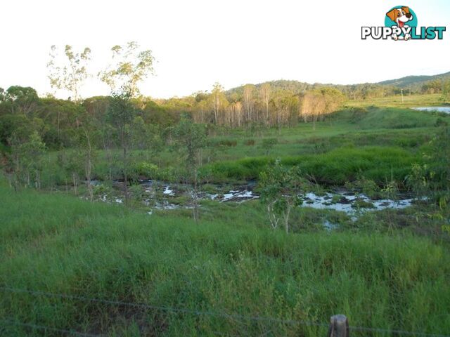 401 Campbells Road KOUMALA QLD 4738