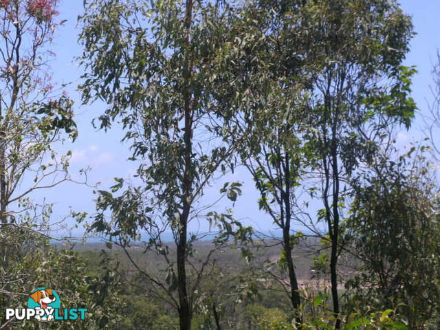 L6 Greenhill Access Road ILBILBIE QLD 4738