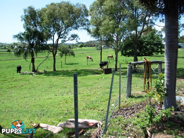 17 Coleshill Drive ALLIGATOR CREEK QLD 4740