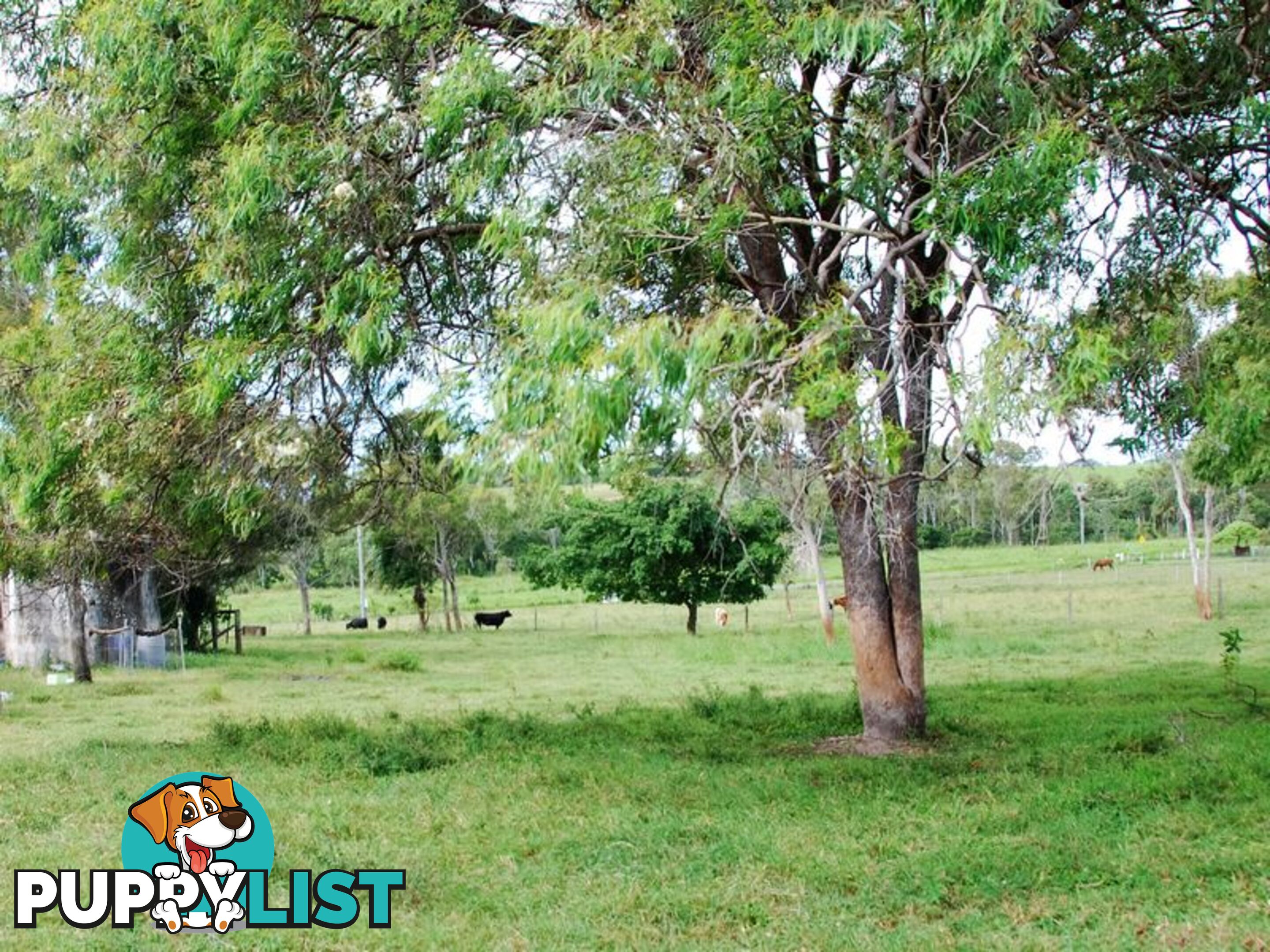 17 Coleshill Drive ALLIGATOR CREEK QLD 4740