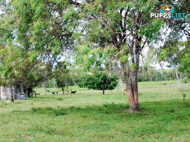 17 Coleshill Drive ALLIGATOR CREEK QLD 4740