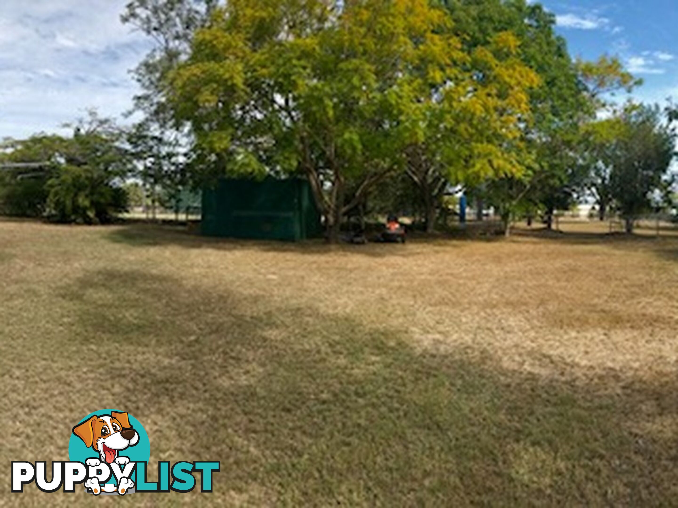 5 Waverley Street ST LAWRENCE QLD 4707