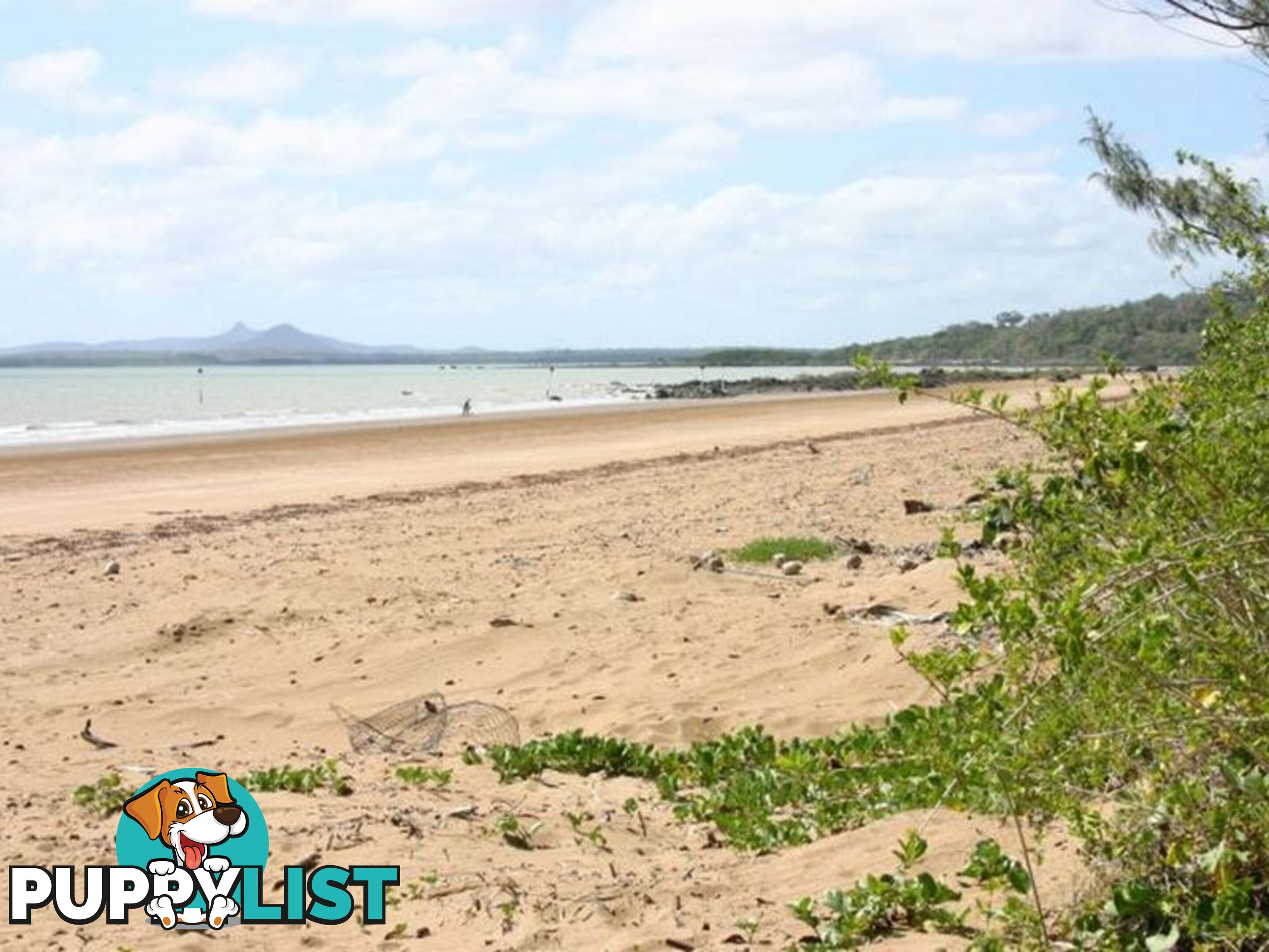 10 Rankin Court ARMSTRONG BEACH QLD 4737