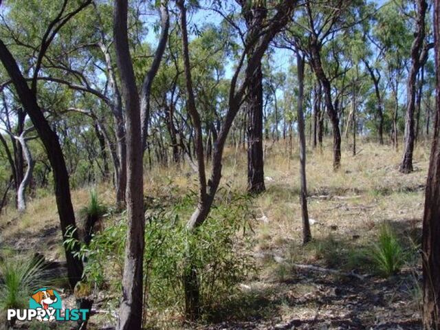 Lot 4 Bruce Highway CLAIRVIEW QLD 4741