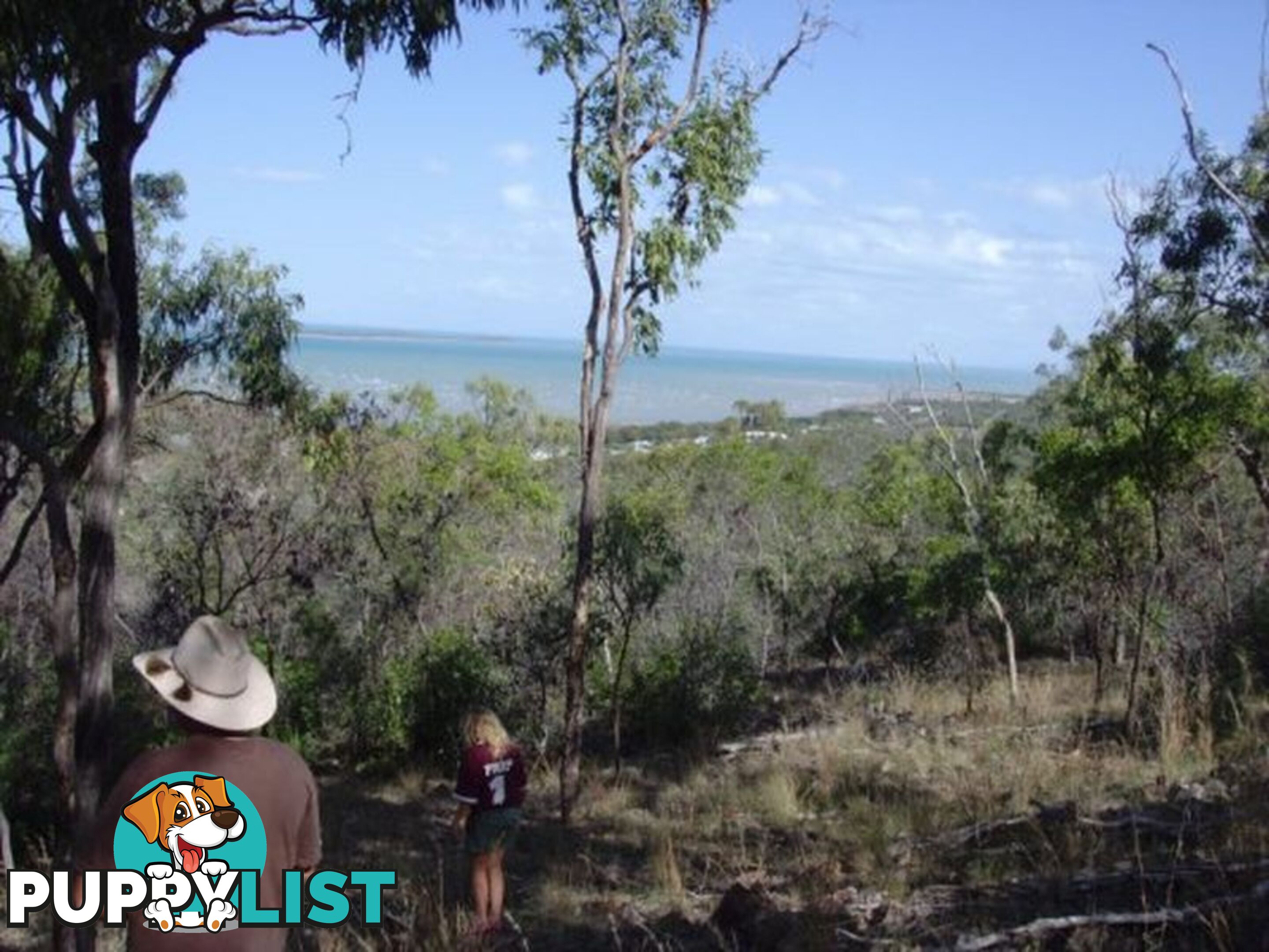 Lot 4 Bruce Highway CLAIRVIEW QLD 4741