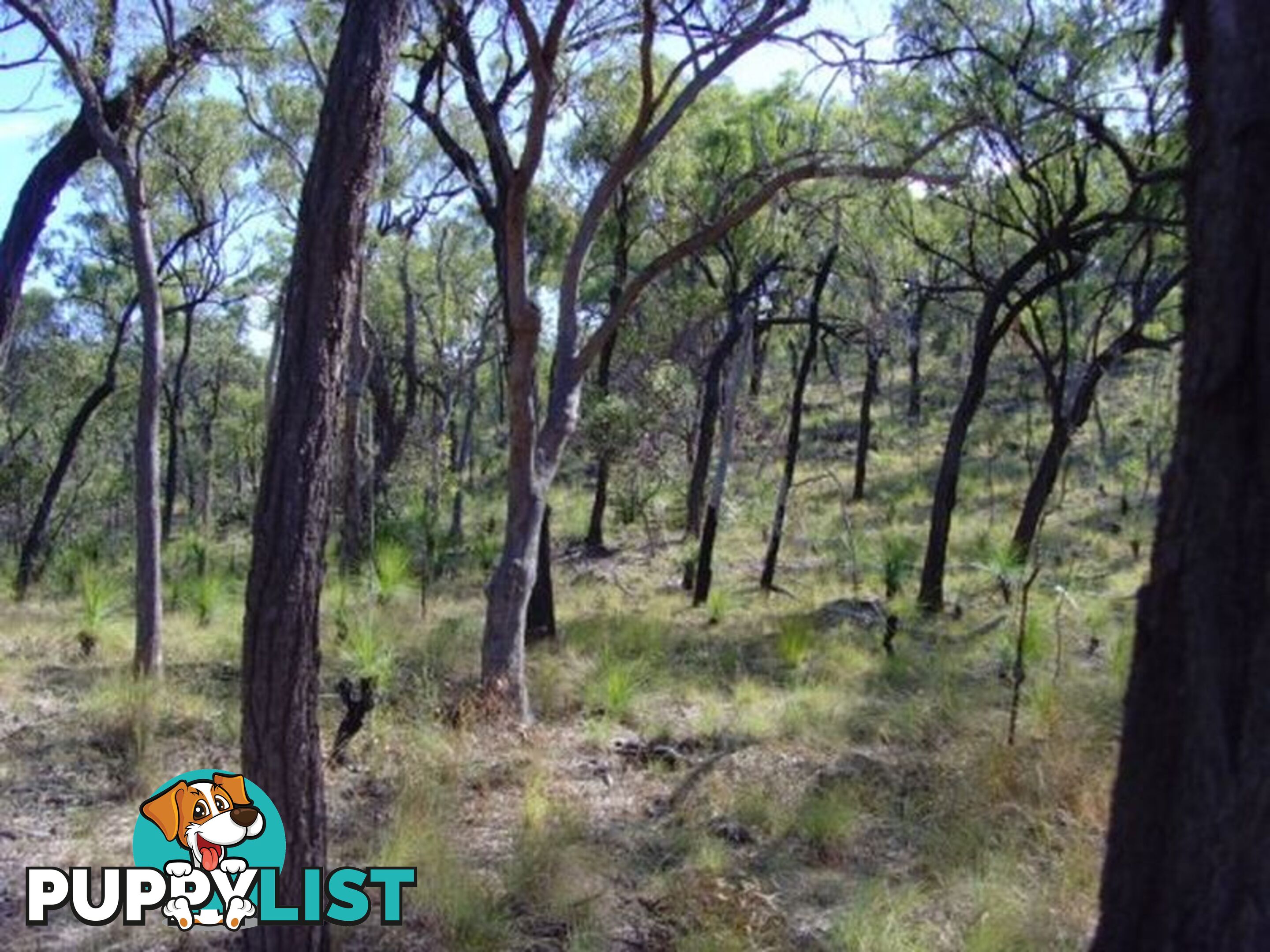 Lot 4 Bruce Highway CLAIRVIEW QLD 4741