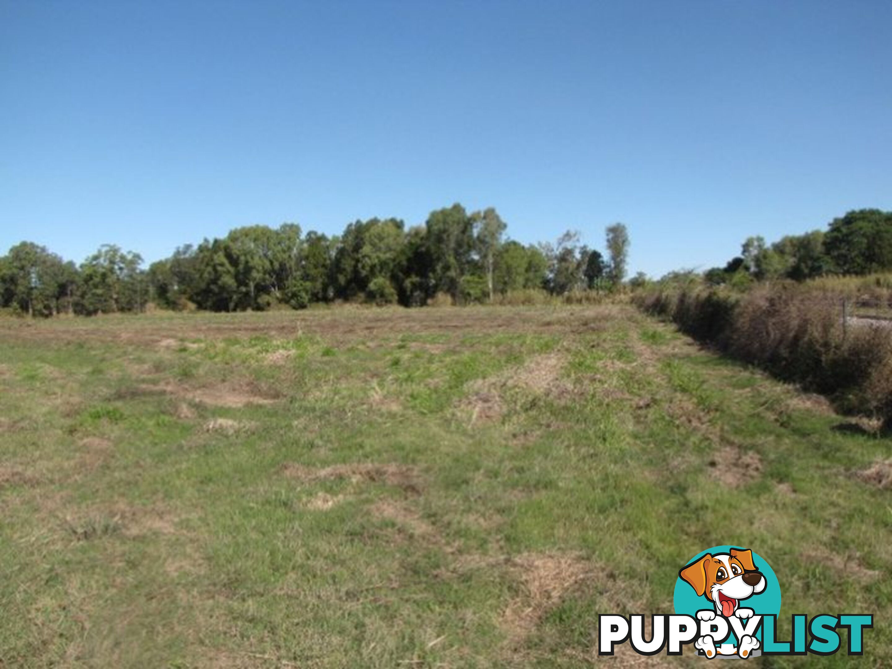 Lot 15 Palms Road CARMILA QLD 4739