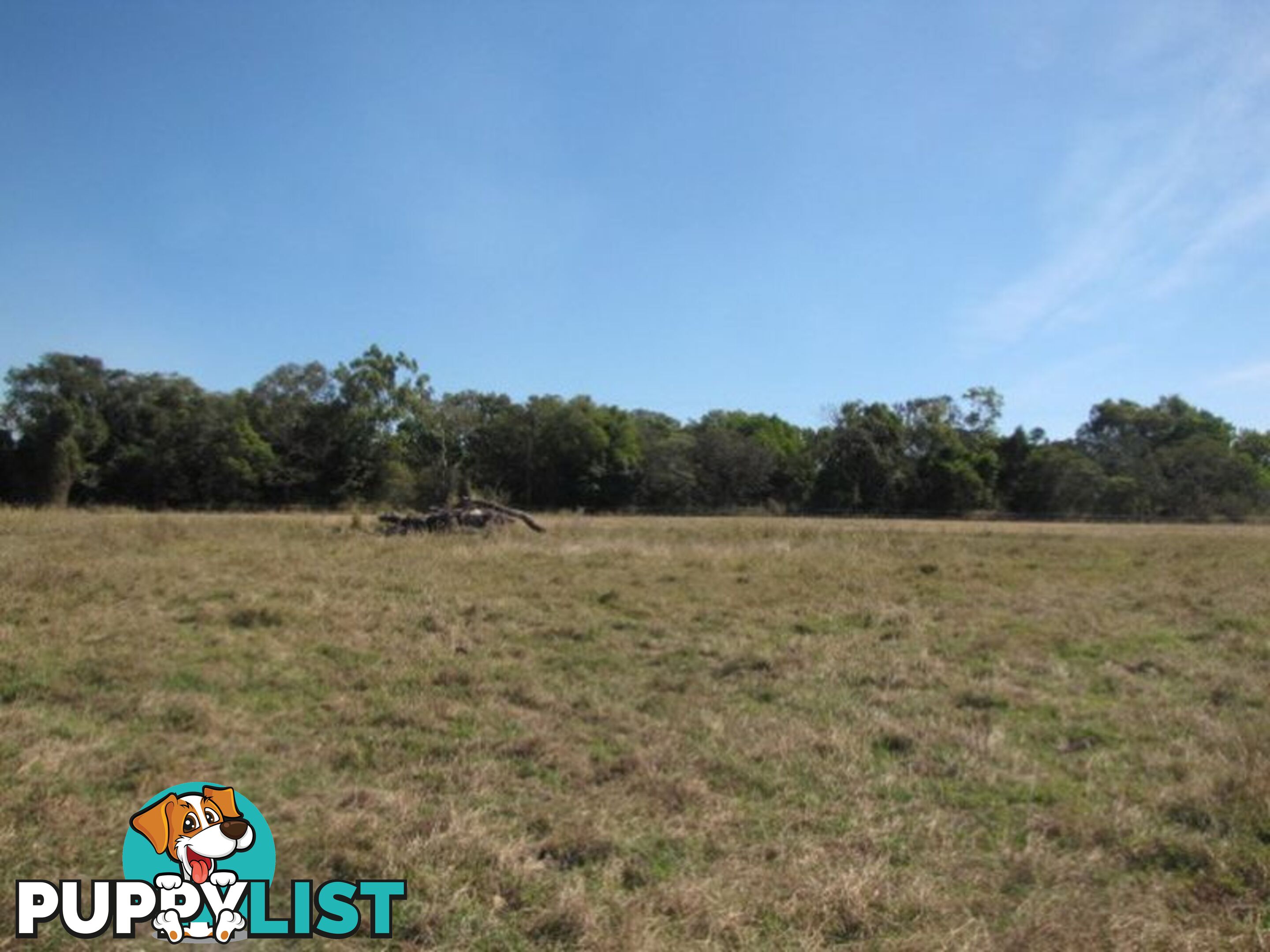 Lot 15 Palms Road CARMILA QLD 4739