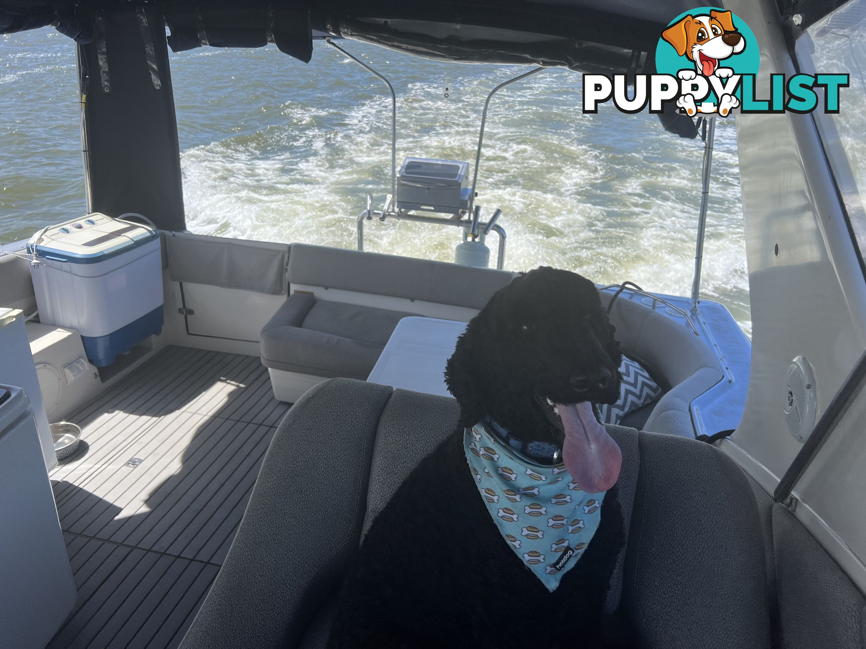 42 ft Regsl Royale