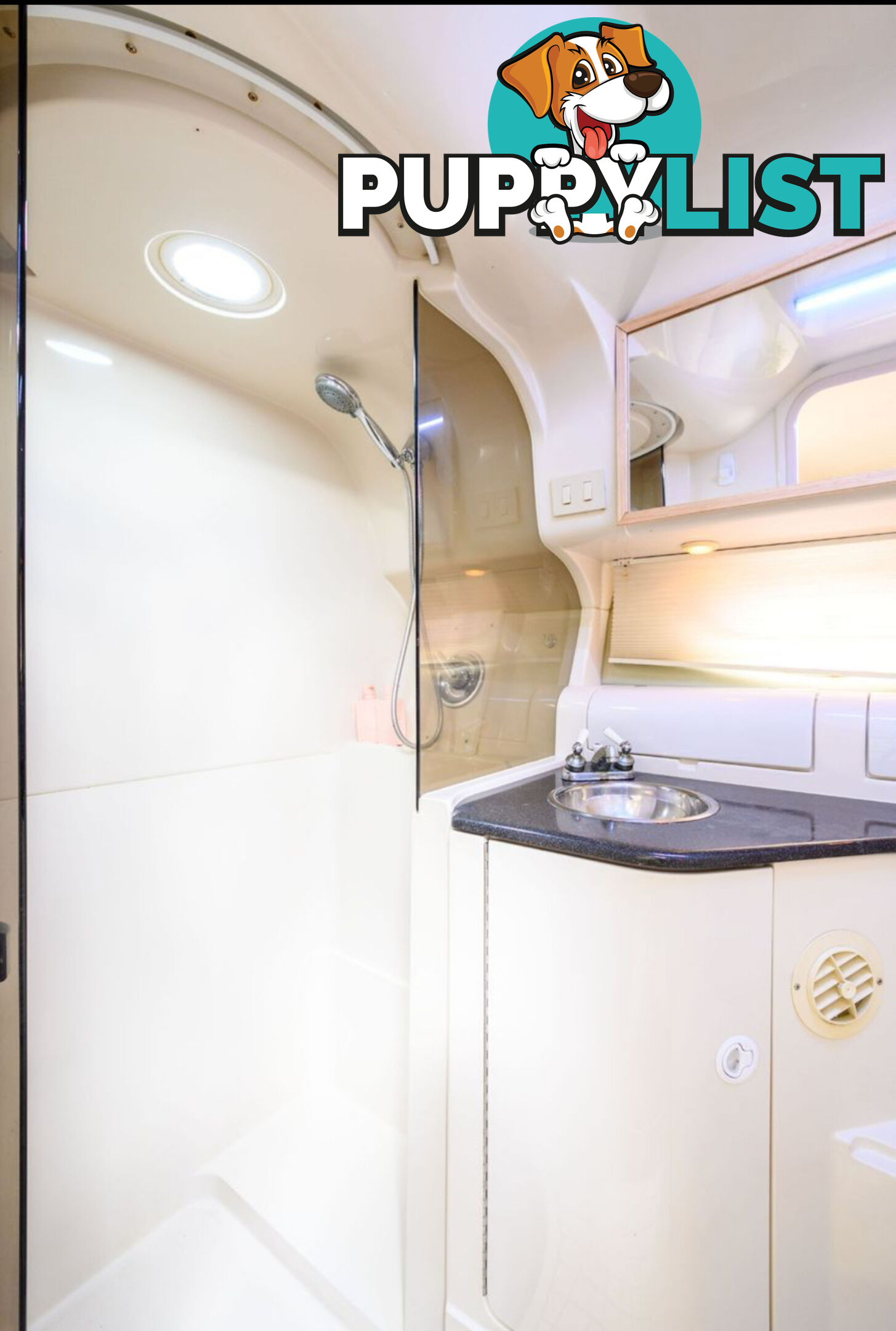 42 ft Regsl Royale