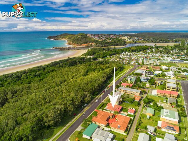 31 Beech Street EVANS HEAD NSW 2473