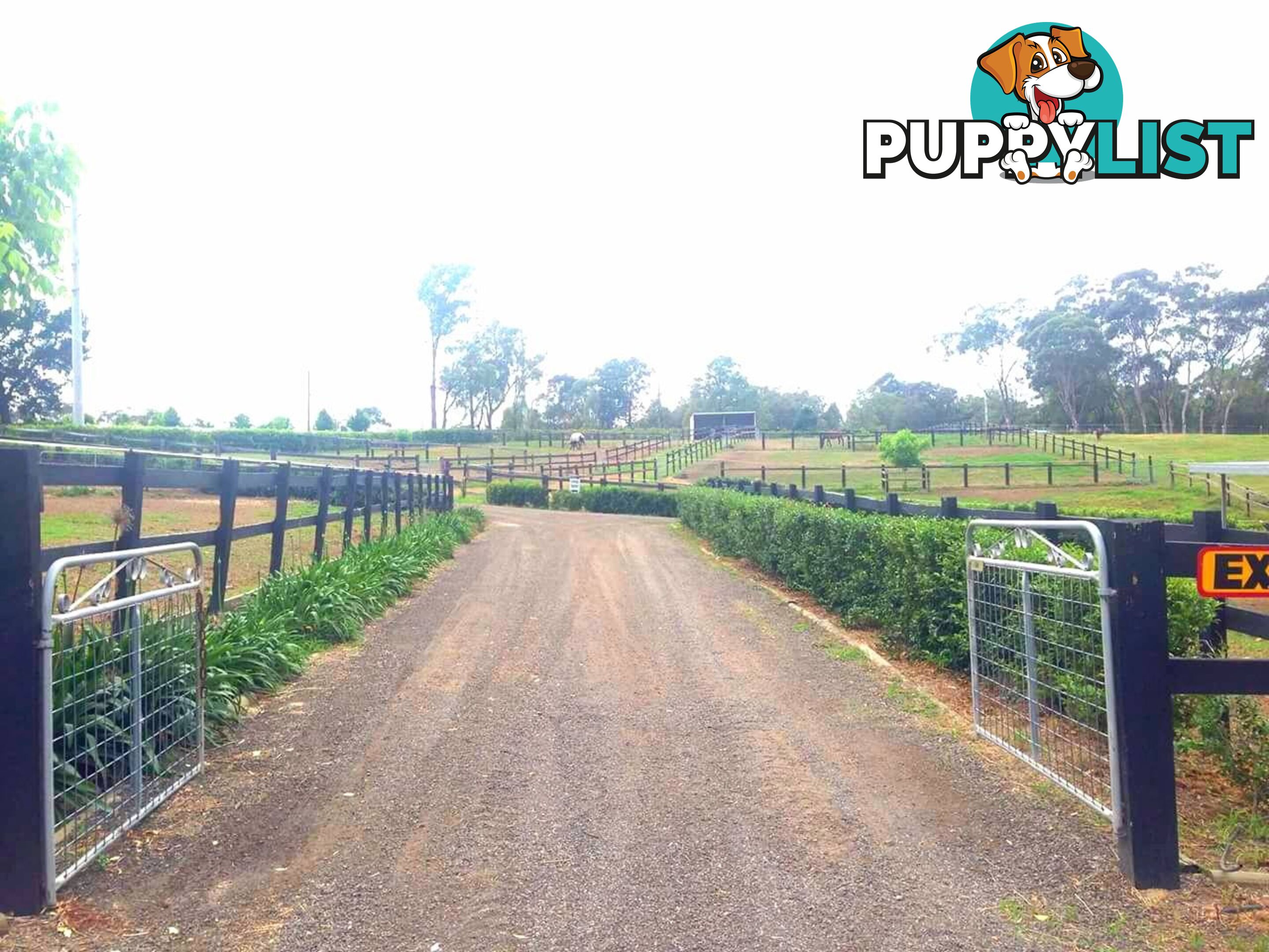 Lot 1/134 Cattai Ridge Road GLENORIE NSW 2157