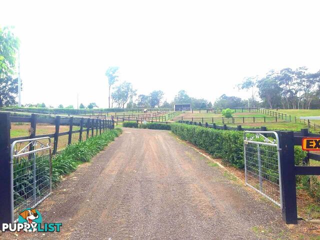 Lot 1/134 Cattai Ridge Road GLENORIE NSW 2157