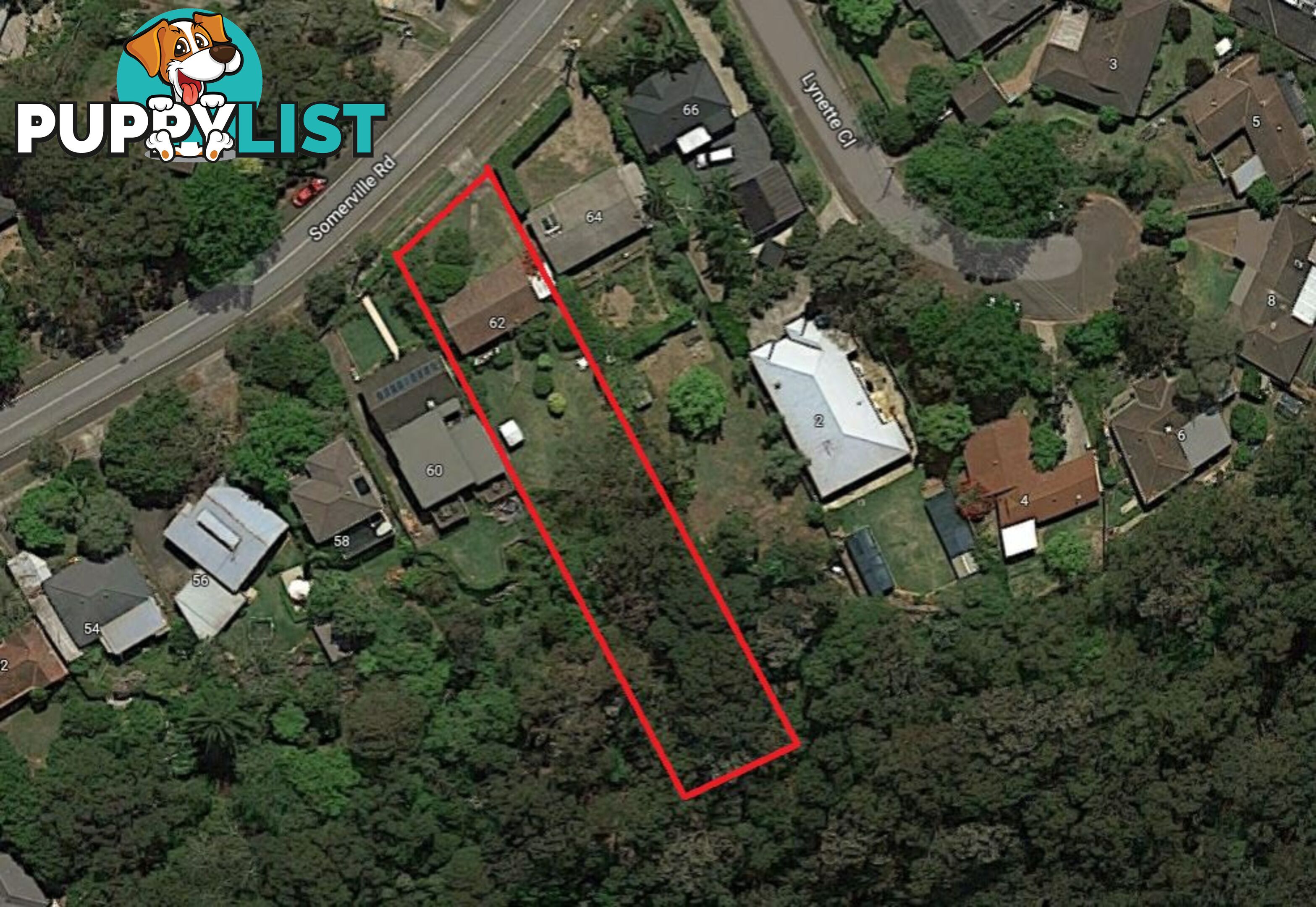 62 Somerville Road HORNSBY HEIGHTS NSW 2077