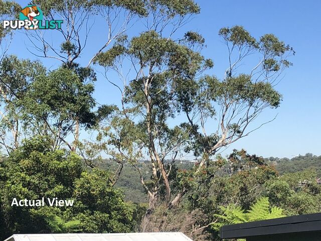 62 Somerville Road HORNSBY HEIGHTS NSW 2077