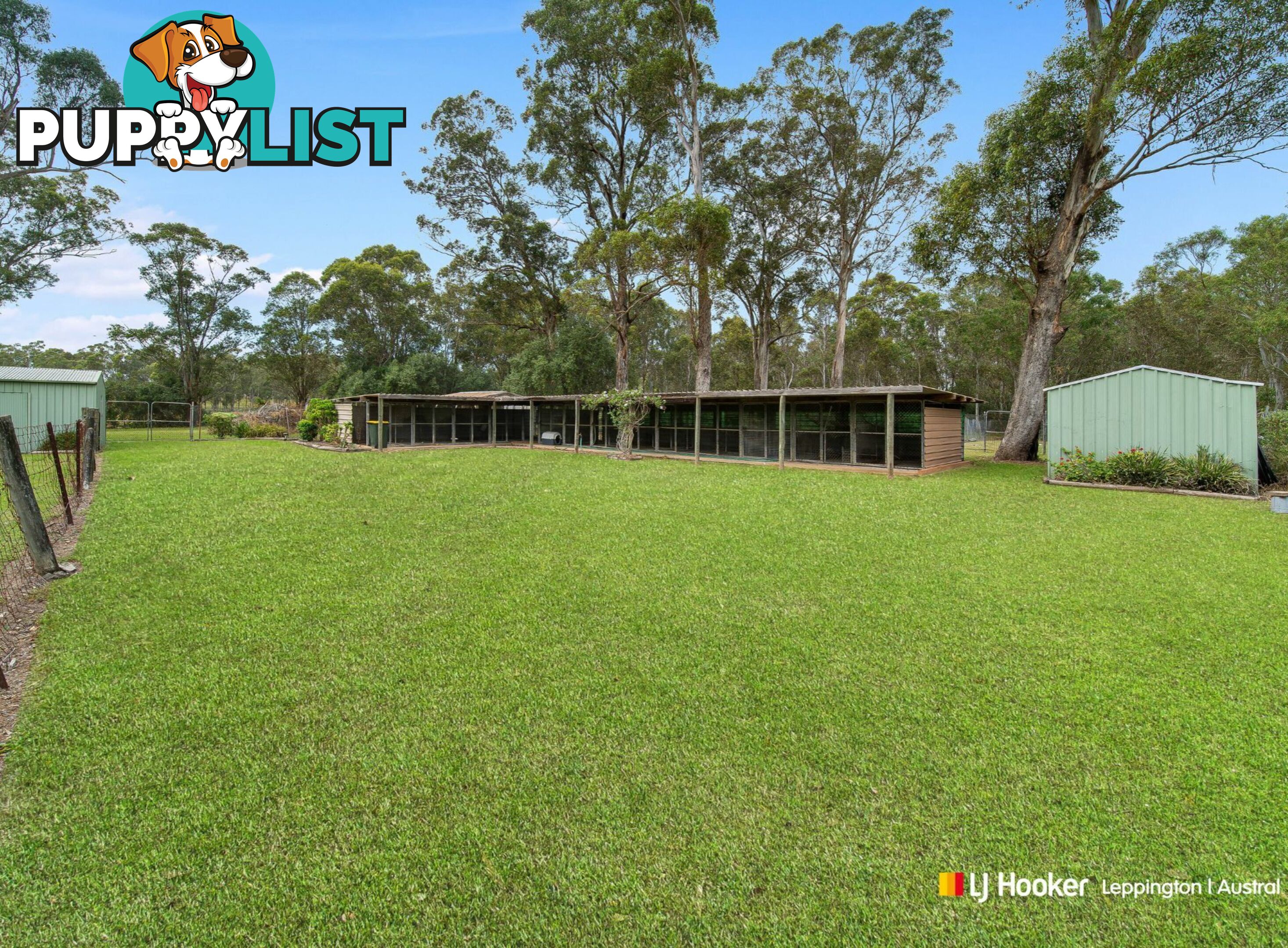 49 Deepfields Road CATHERINE FIELD NSW 2557