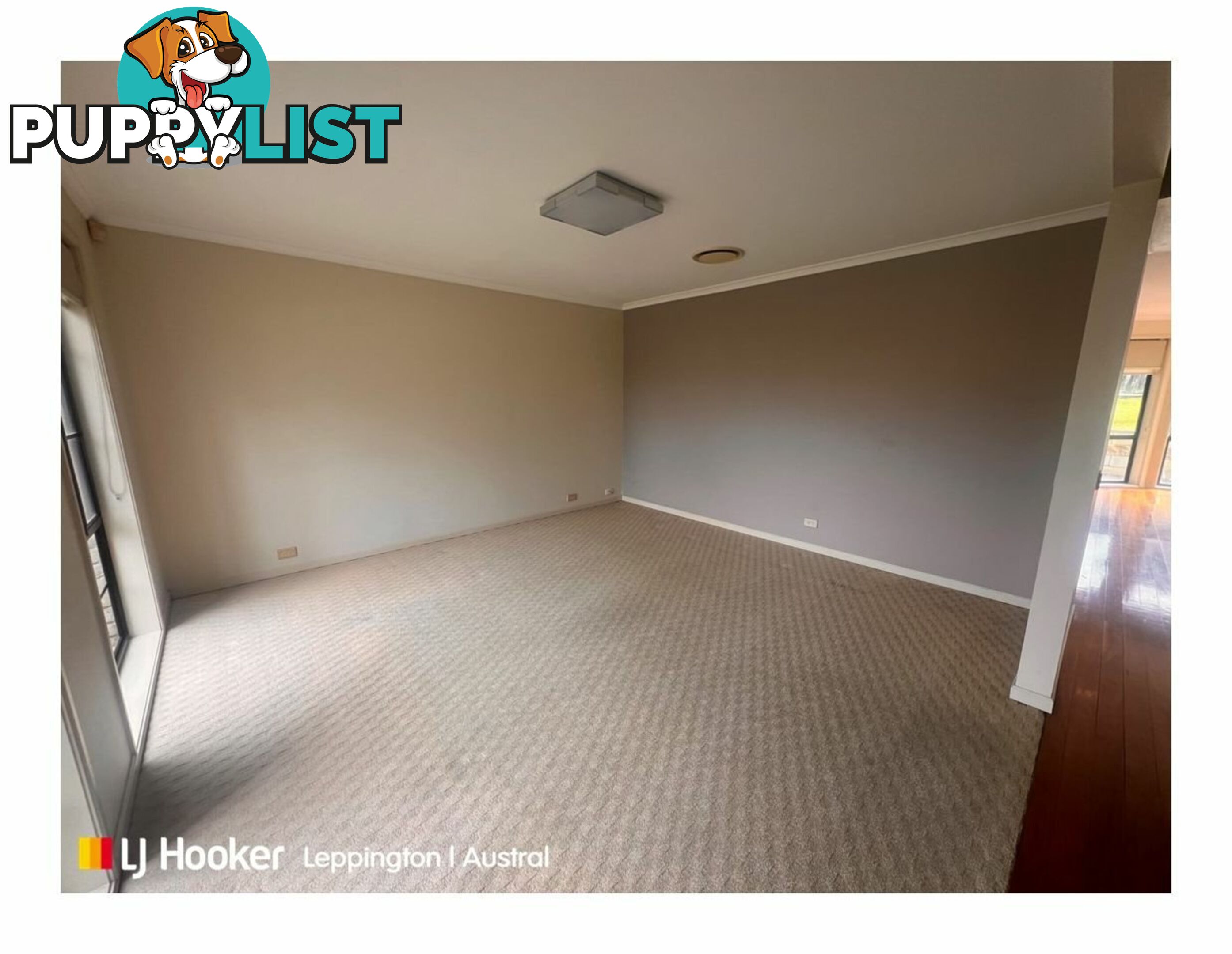 16 Gatto Place WEST HOXTON NSW 2171