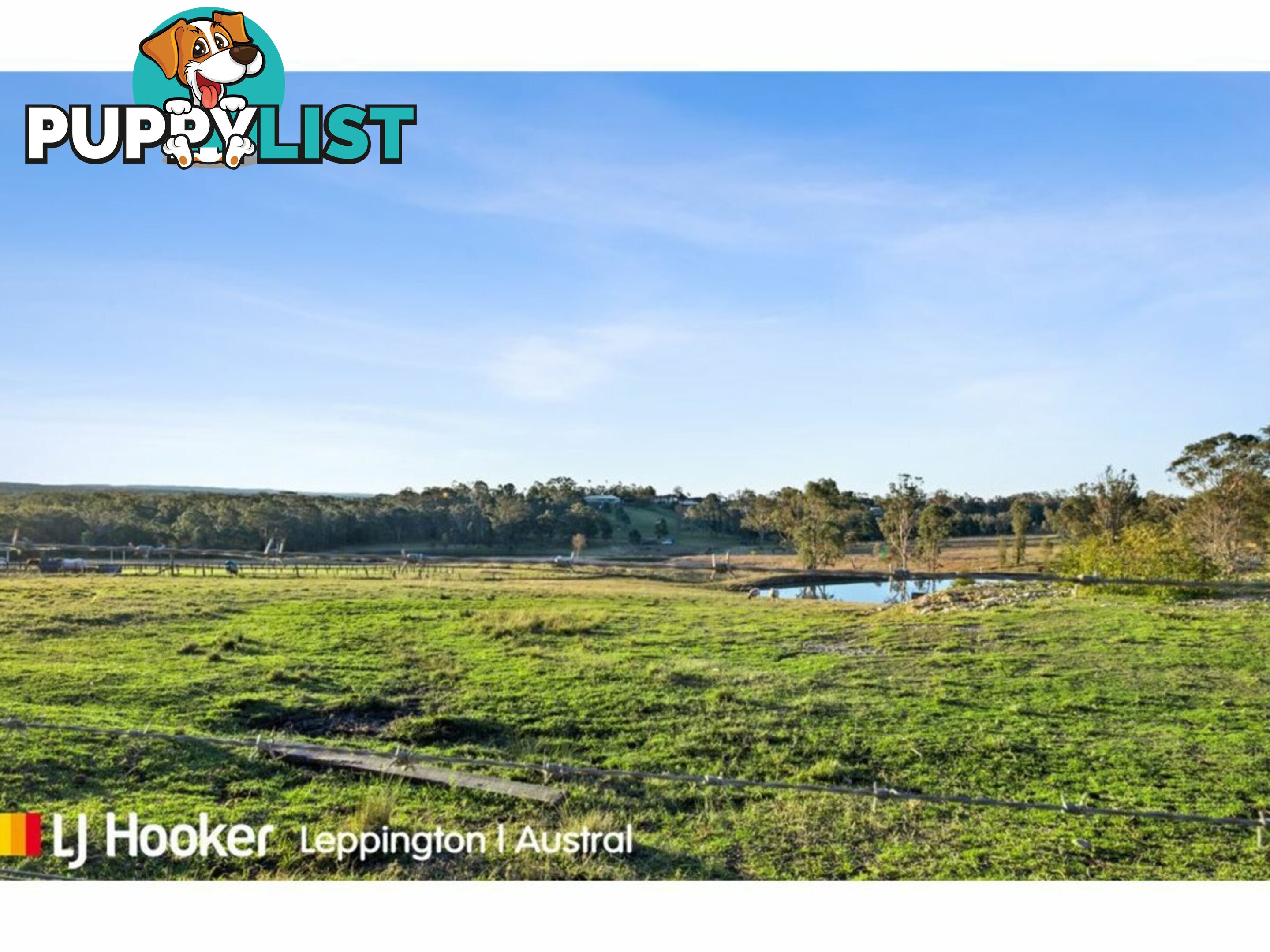 25 Eltons Road SILVERDALE NSW 2752