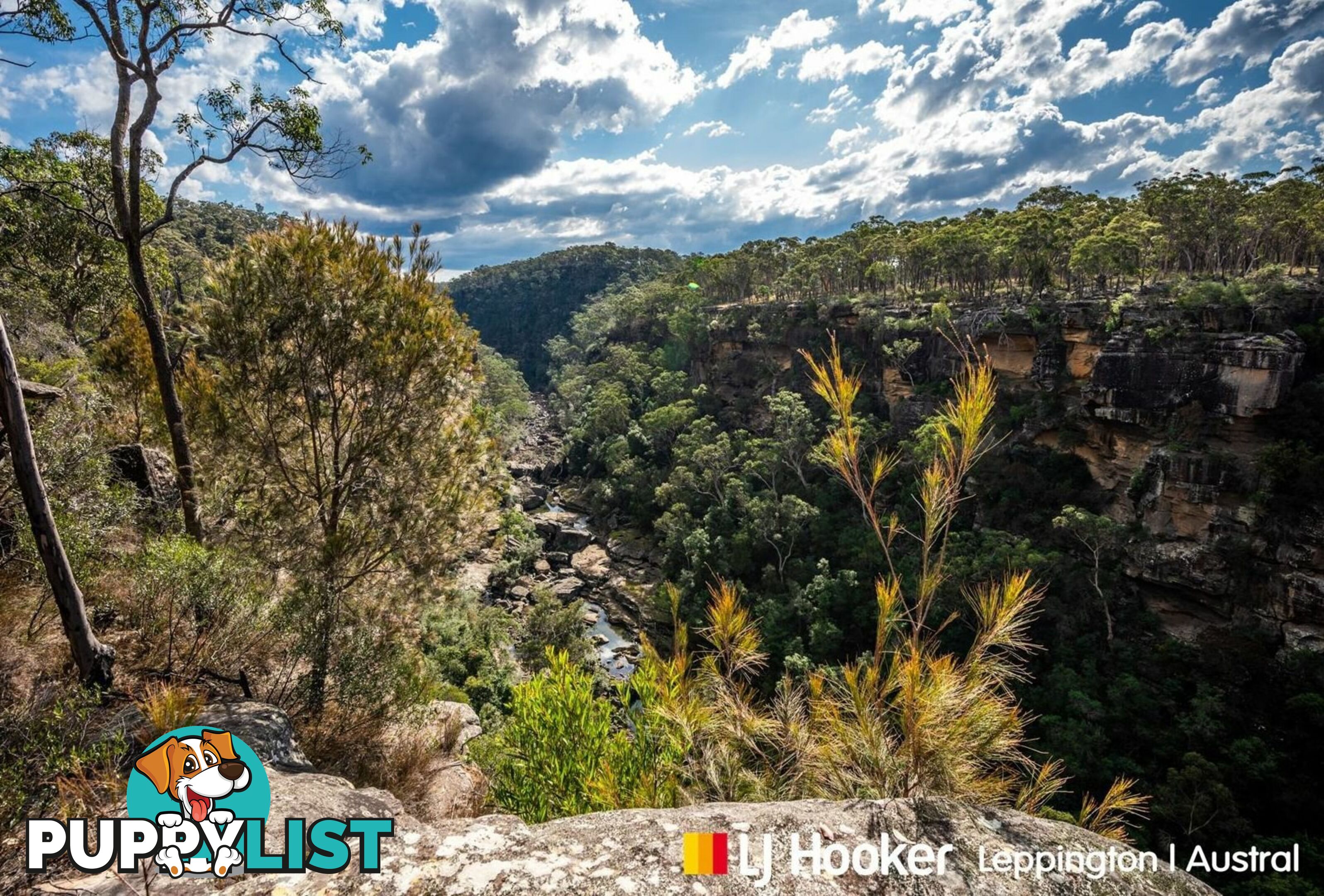 137 Lyrebird Road PHEASANTS NEST NSW 2574