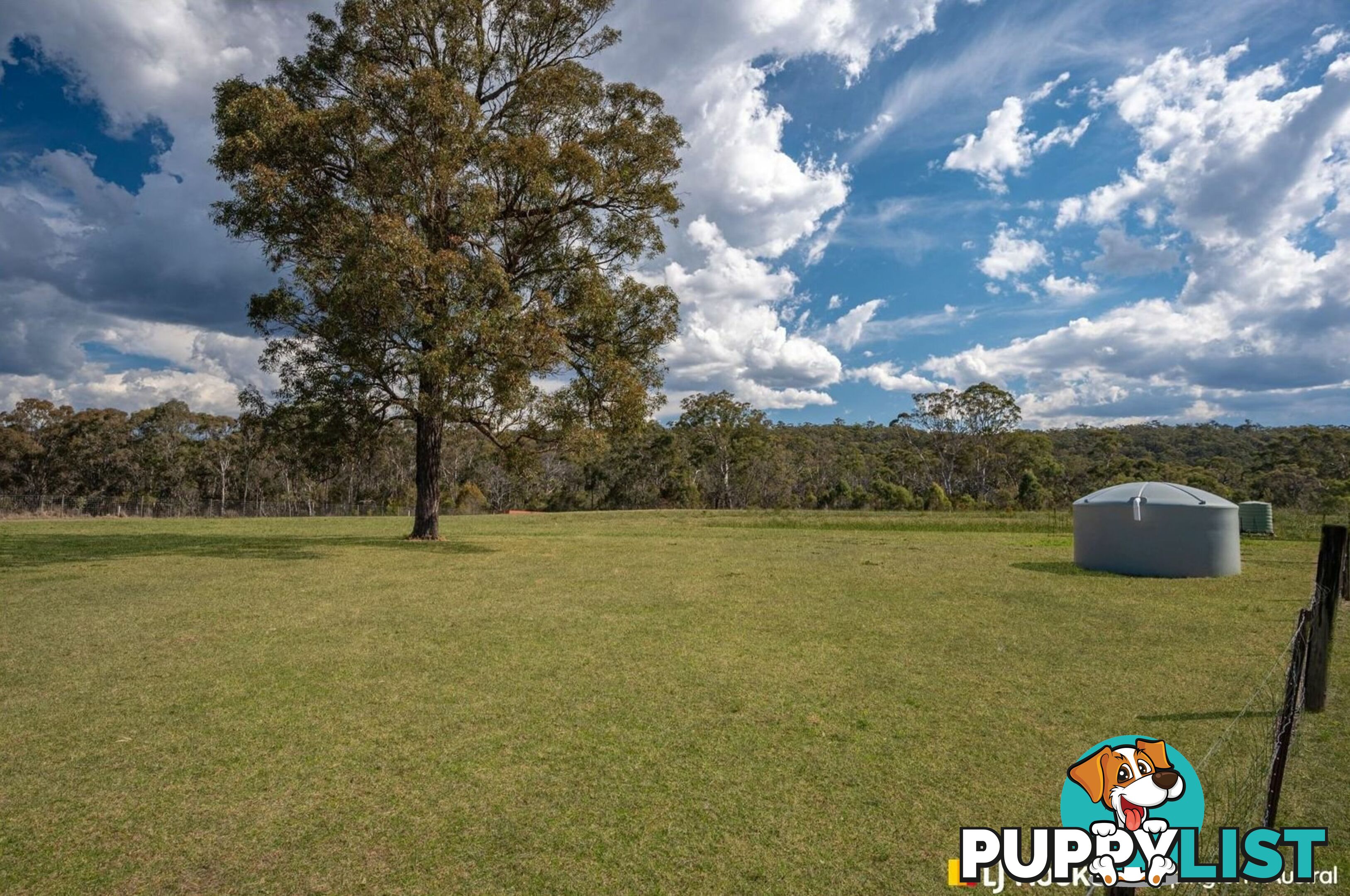 137 Lyrebird Road PHEASANTS NEST NSW 2574