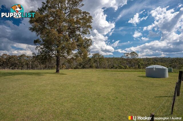 137 Lyrebird Road PHEASANTS NEST NSW 2574