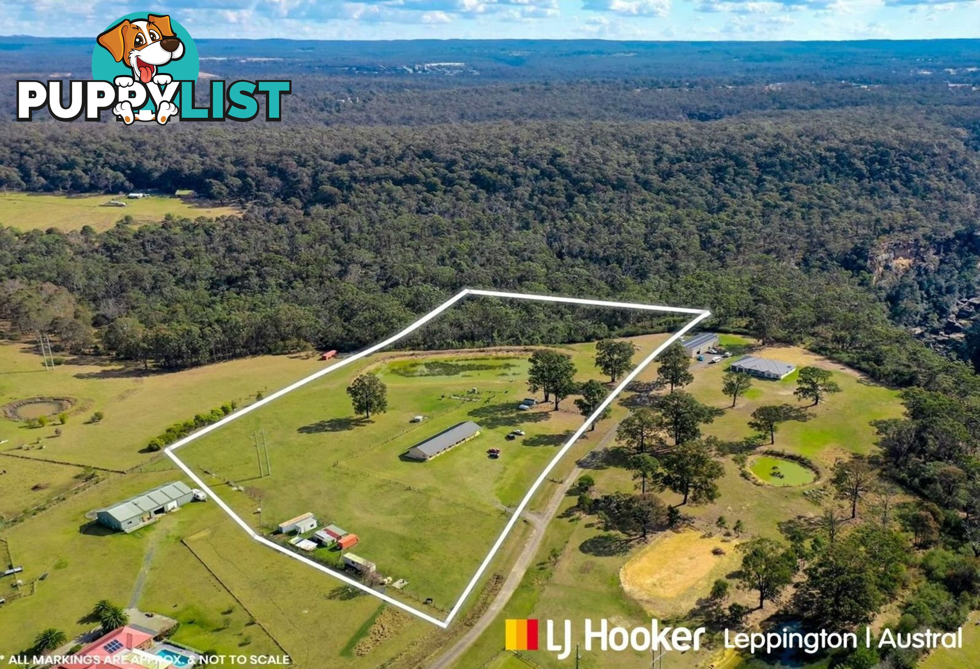 137 Lyrebird Road PHEASANTS NEST NSW 2574