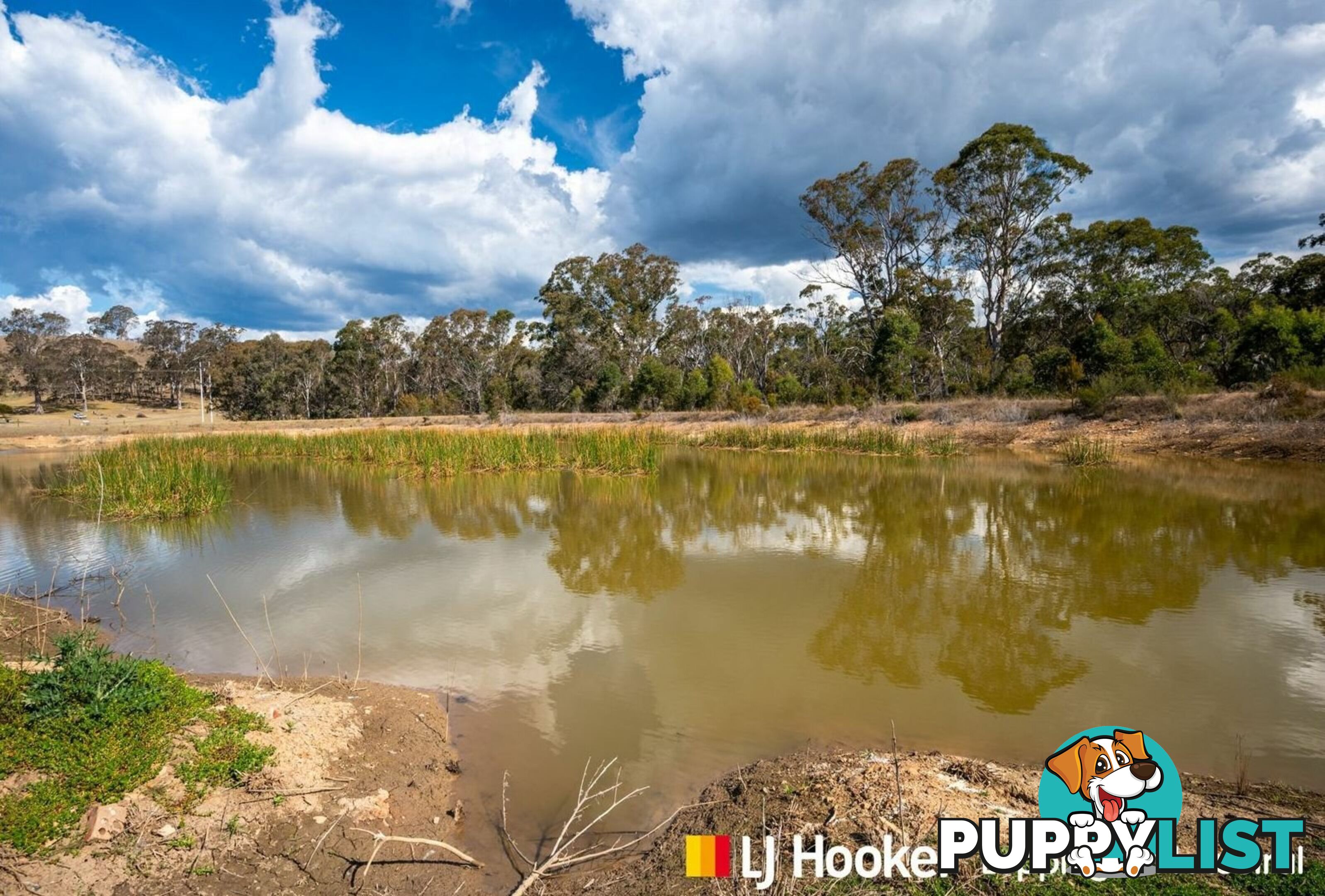 137 Lyrebird Road PHEASANTS NEST NSW 2574