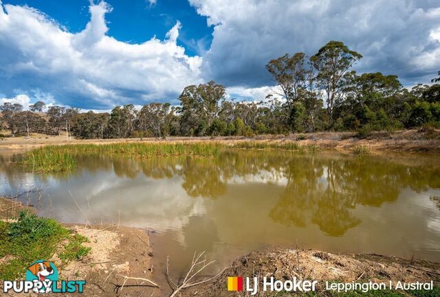 137 Lyrebird Road PHEASANTS NEST NSW 2574