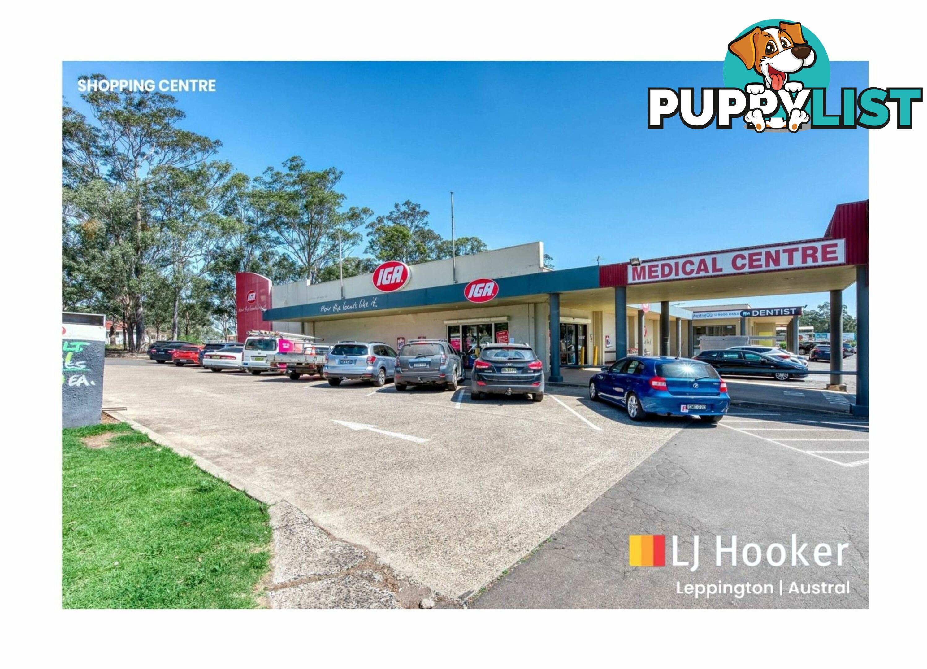 57 Horologium Road AUSTRAL NSW 2179