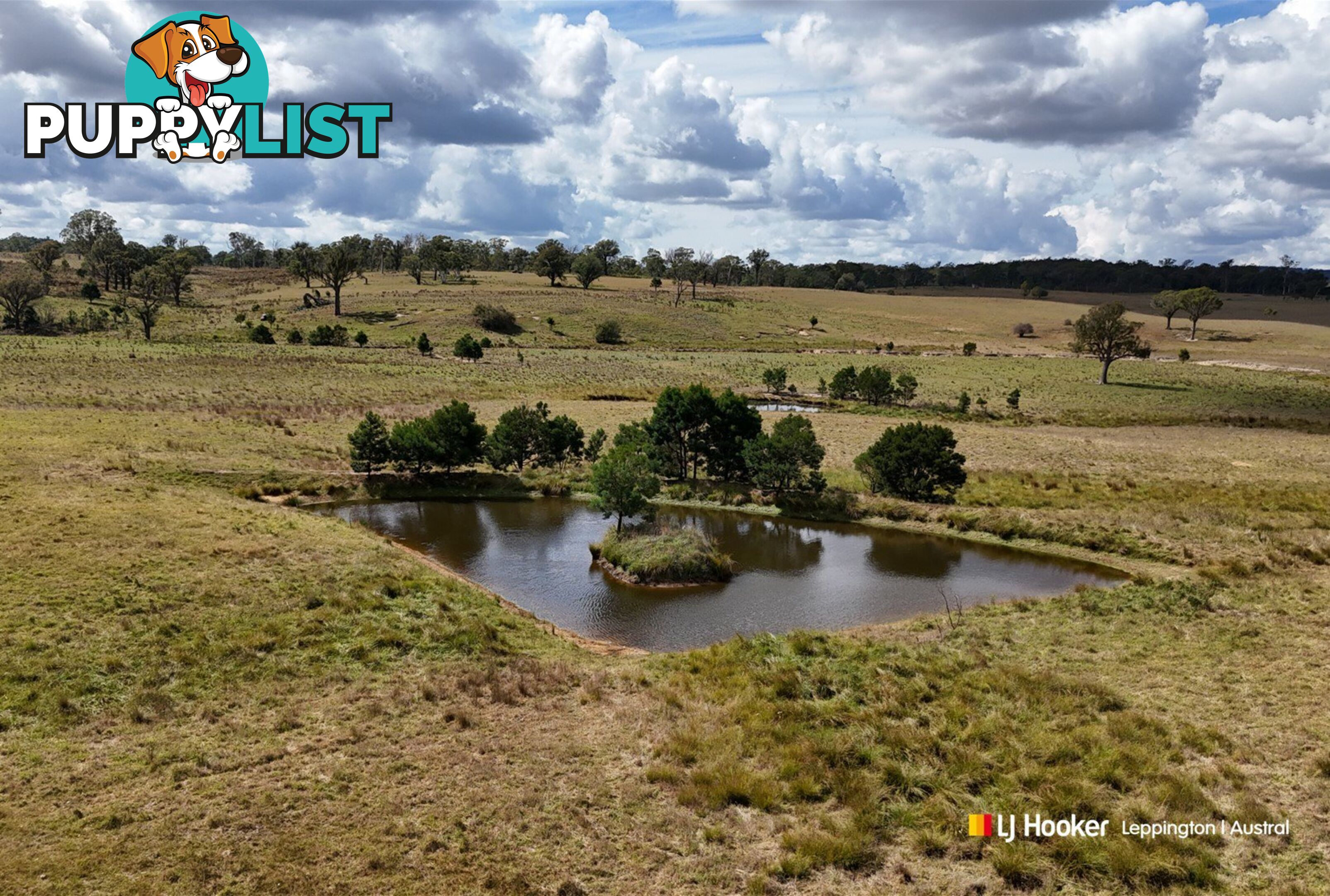 1193 Bullamalita Road QUIALIGO NSW 2580