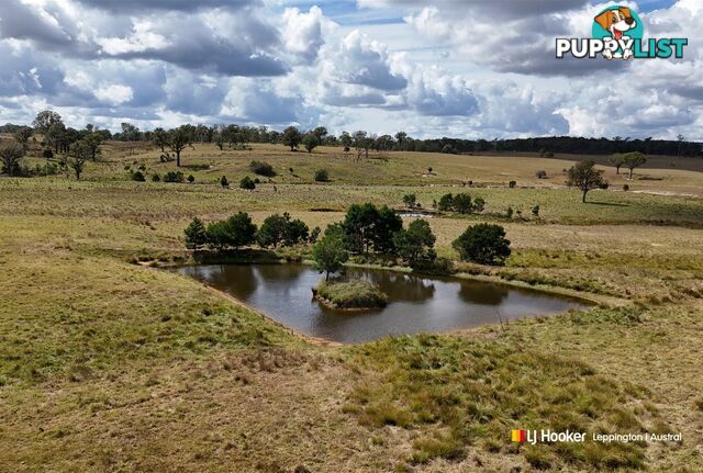 1193 Bullamalita Road QUIALIGO NSW 2580