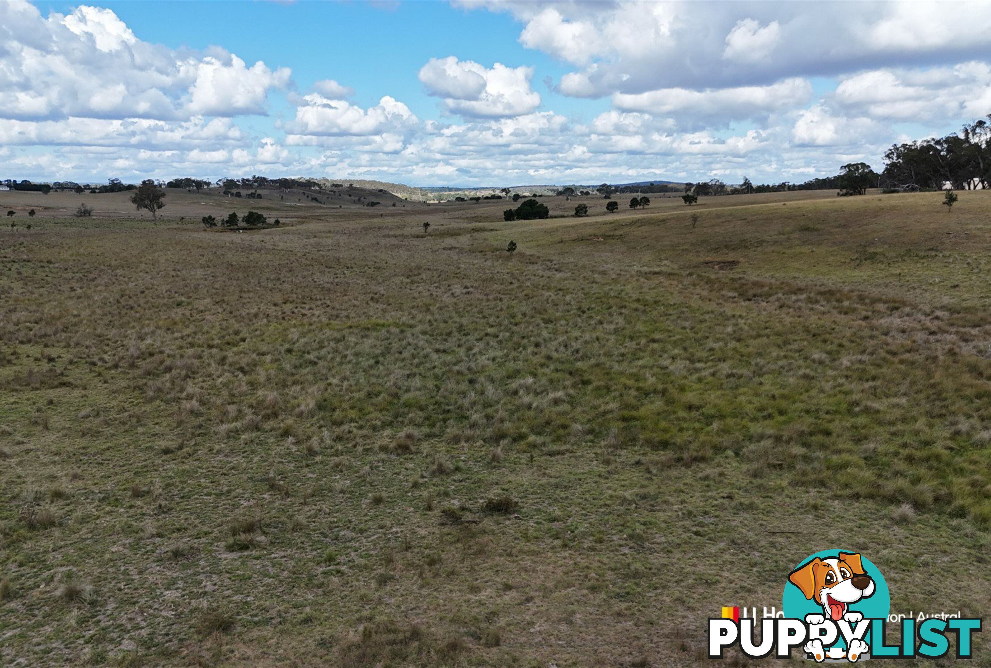 1193 Bullamalita Road QUIALIGO NSW 2580