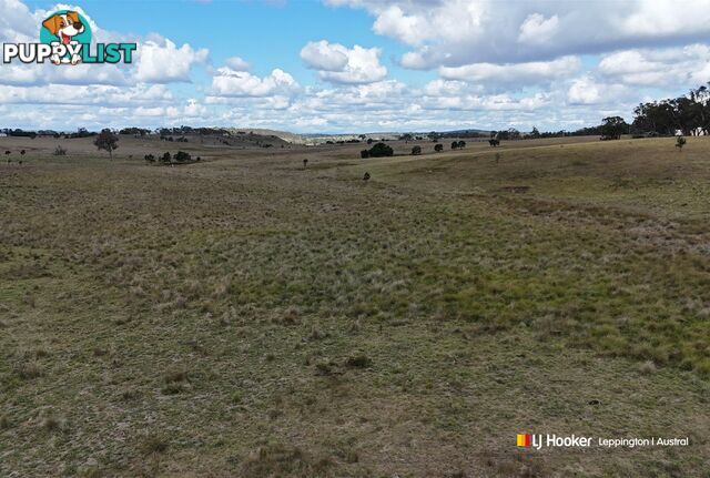 1193 Bullamalita Road QUIALIGO NSW 2580
