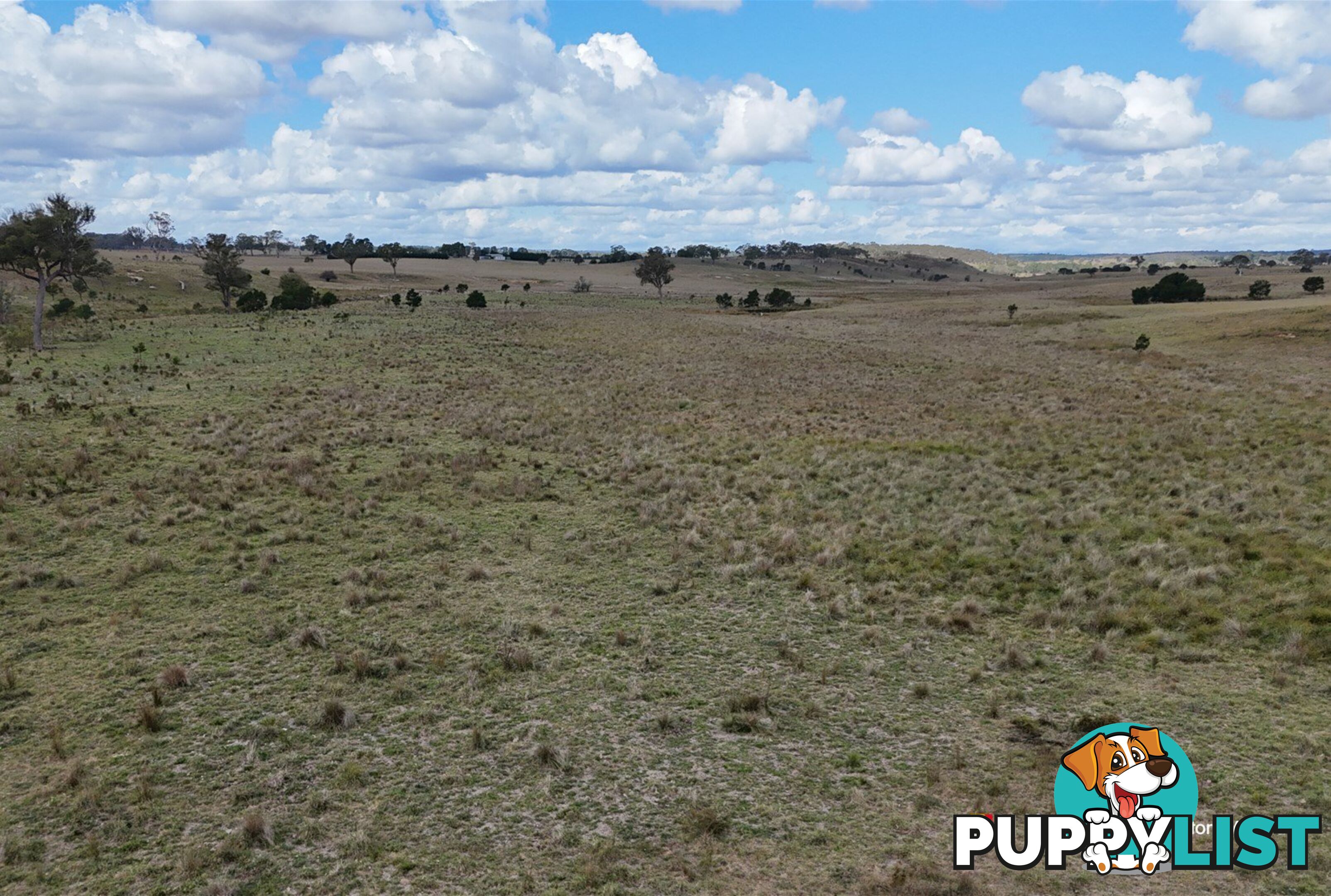 1193 Bullamalita Road QUIALIGO NSW 2580