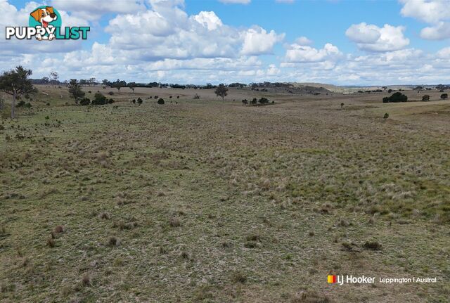 1193 Bullamalita Road QUIALIGO NSW 2580