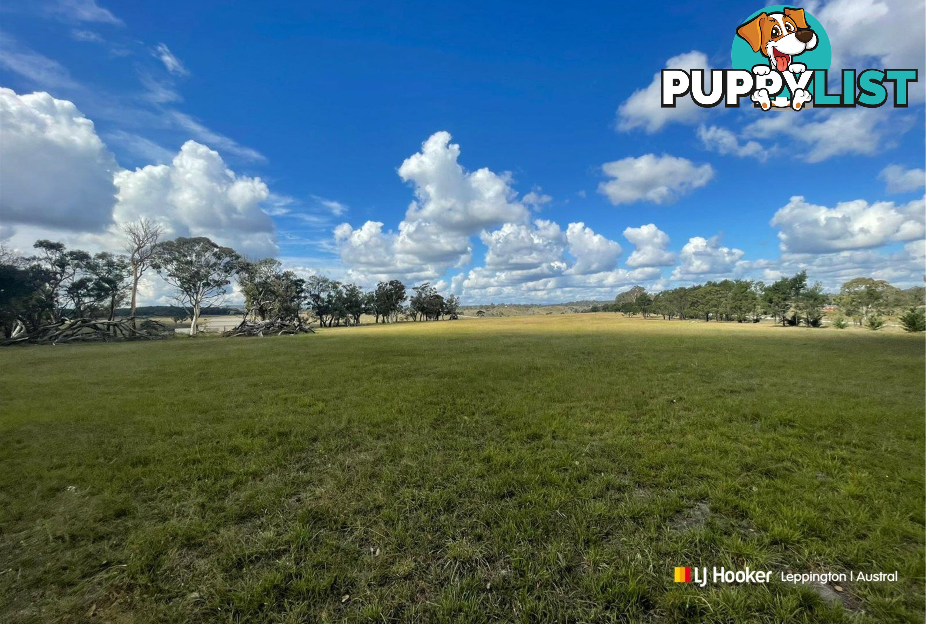 1193 Bullamalita Road QUIALIGO NSW 2580
