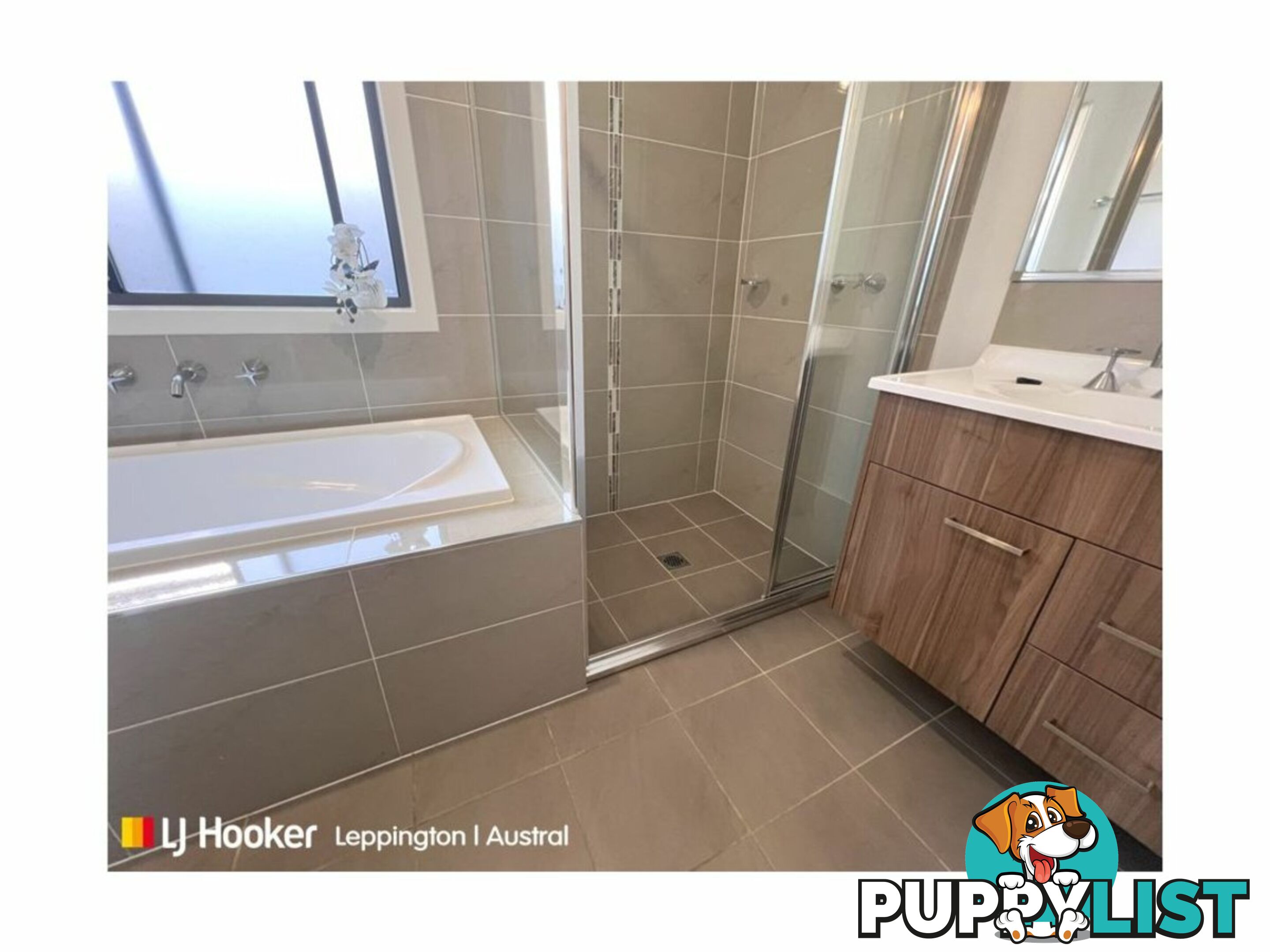 17 Riberry Street GREGORY HILLS NSW 2557