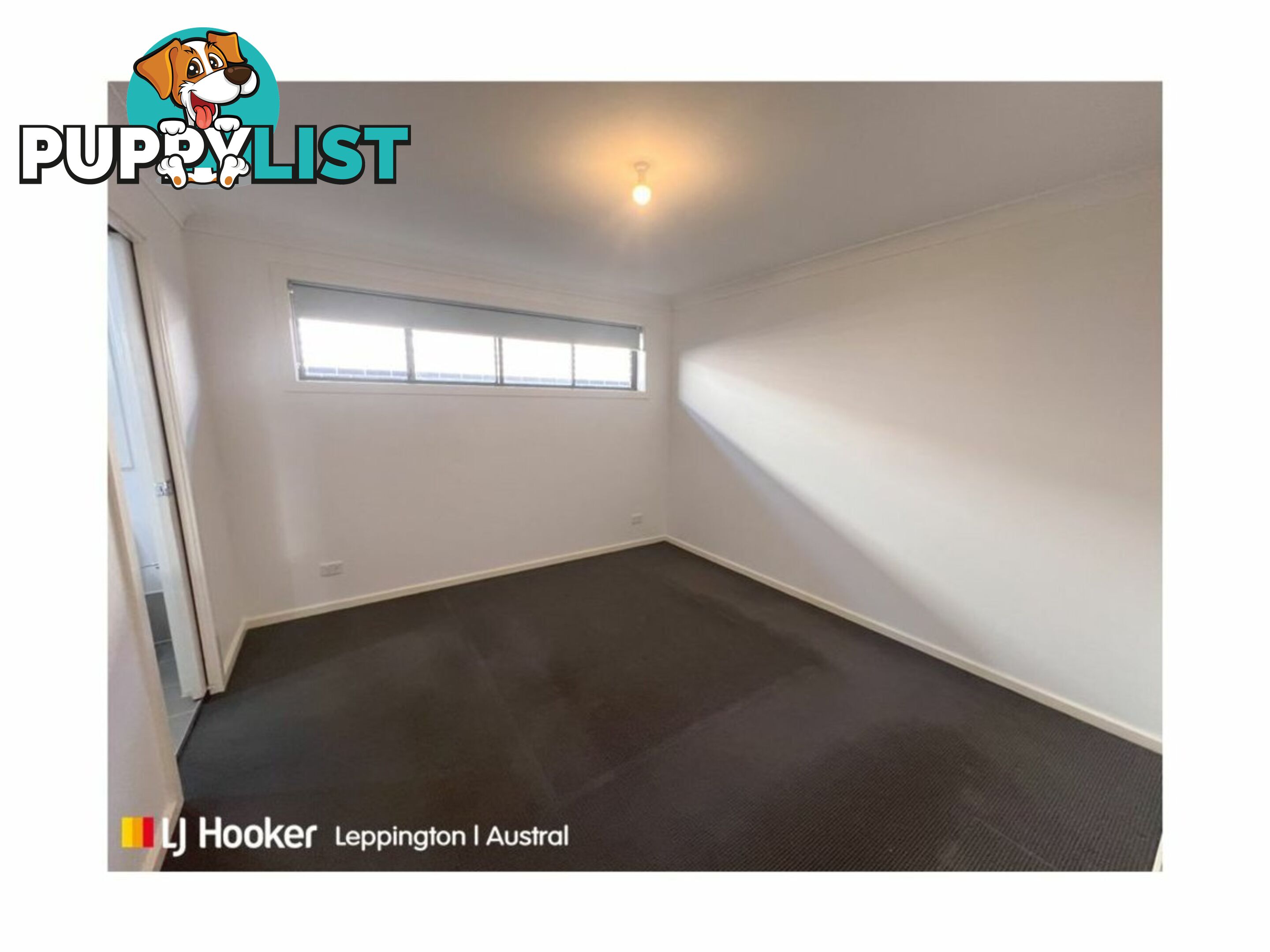 17 Riberry Street GREGORY HILLS NSW 2557