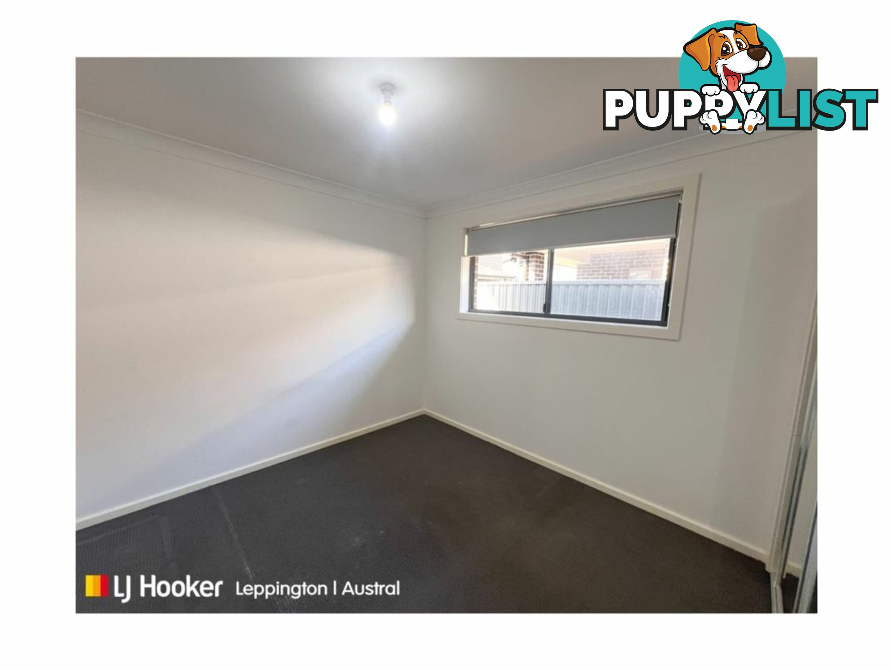 17 Riberry Street GREGORY HILLS NSW 2557