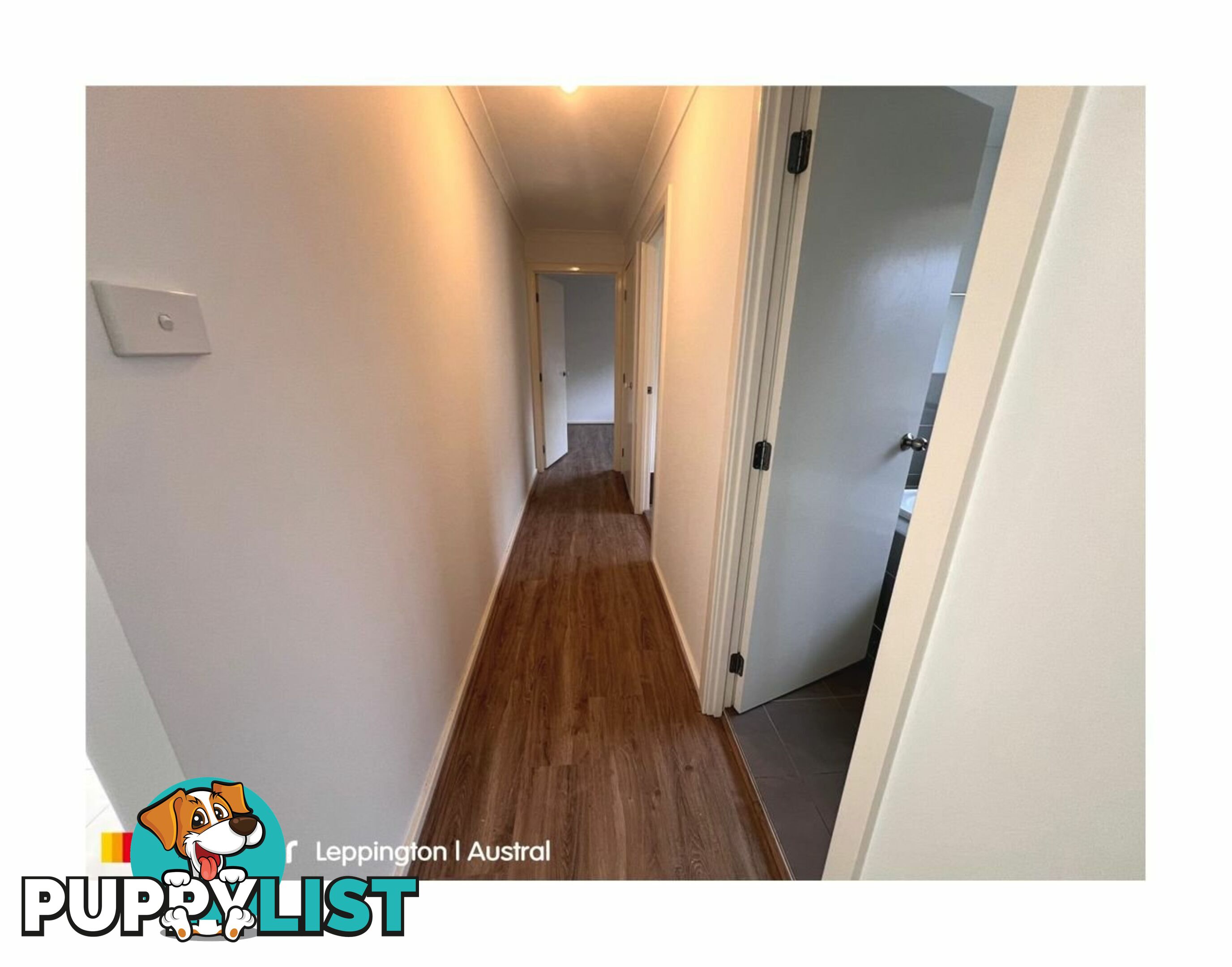 17 Riberry Street GREGORY HILLS NSW 2557