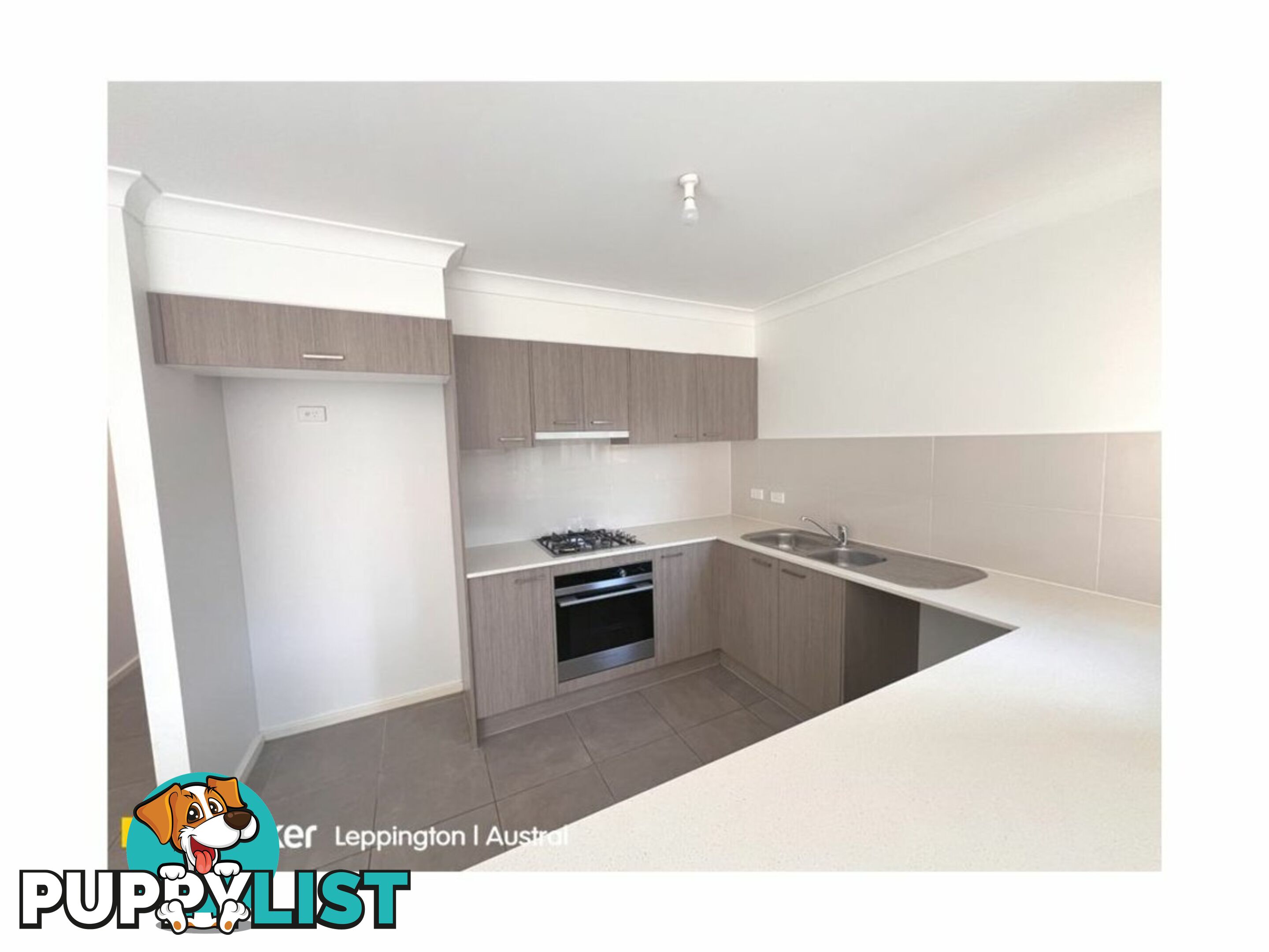 17 Riberry Street GREGORY HILLS NSW 2557