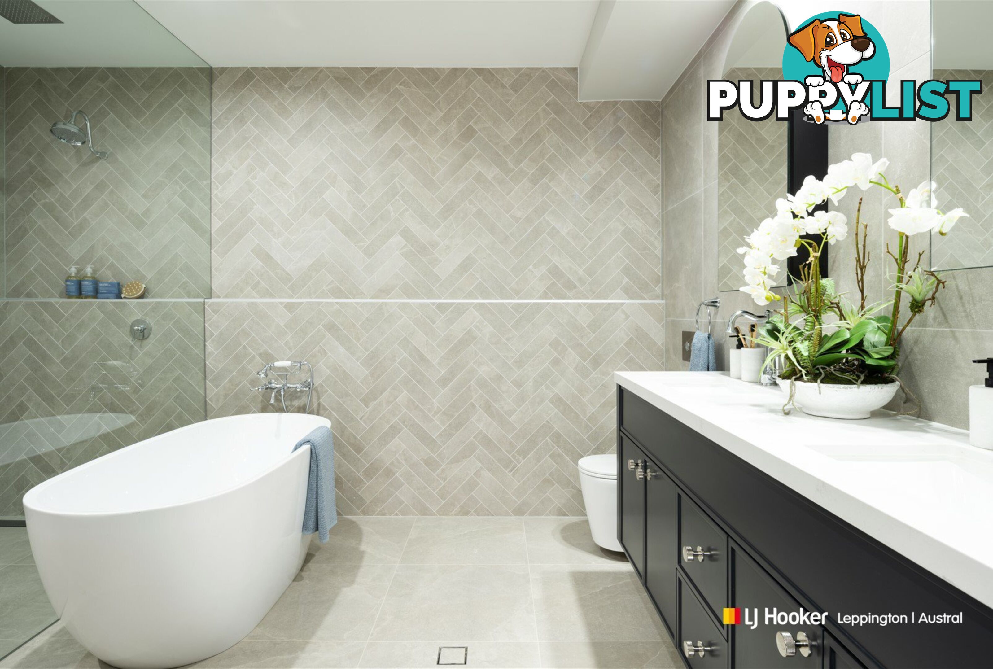 39 Dapple Street AUSTRAL NSW 2179