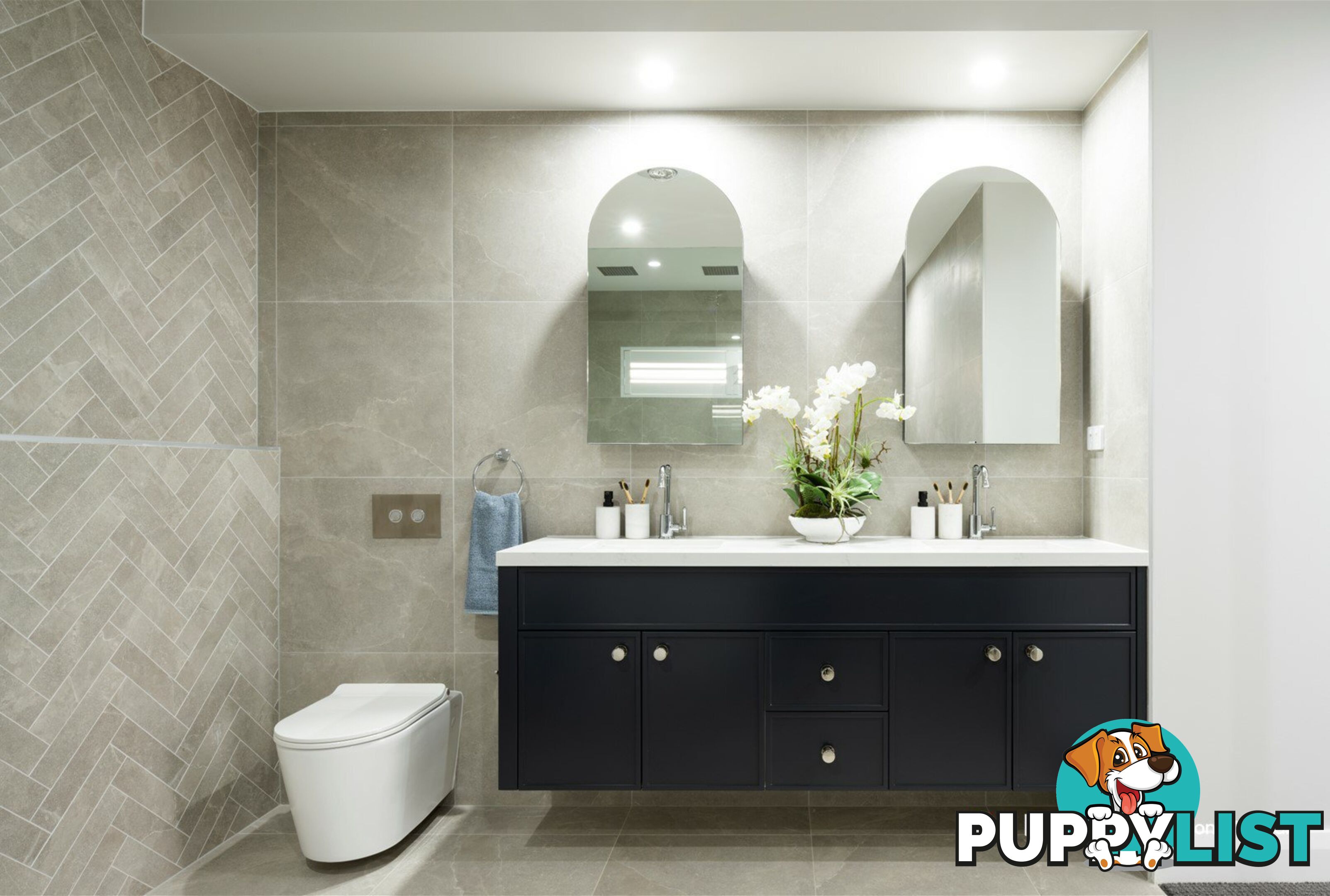 39 Dapple Street AUSTRAL NSW 2179