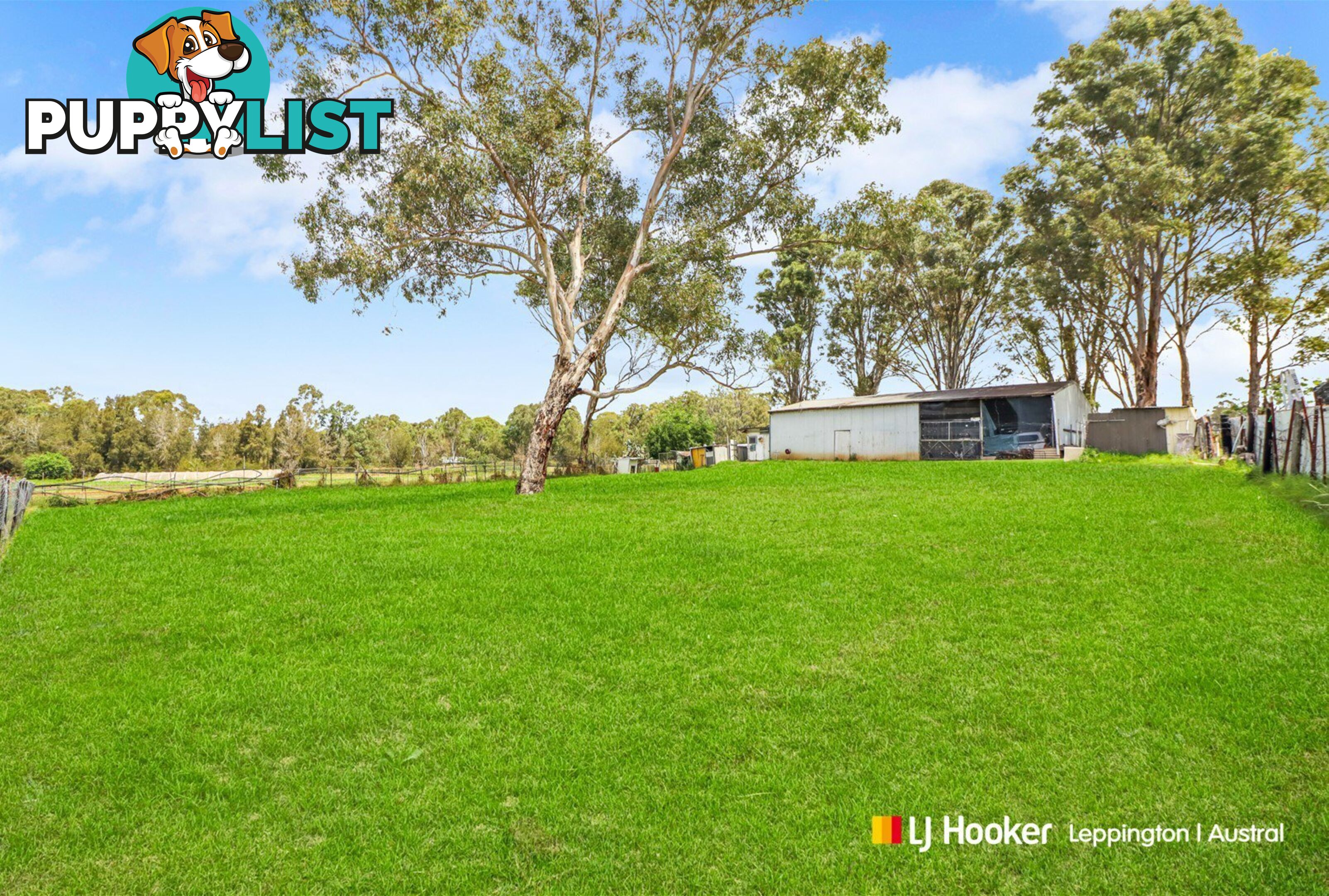 58 Riley Road LEPPINGTON NSW 2179