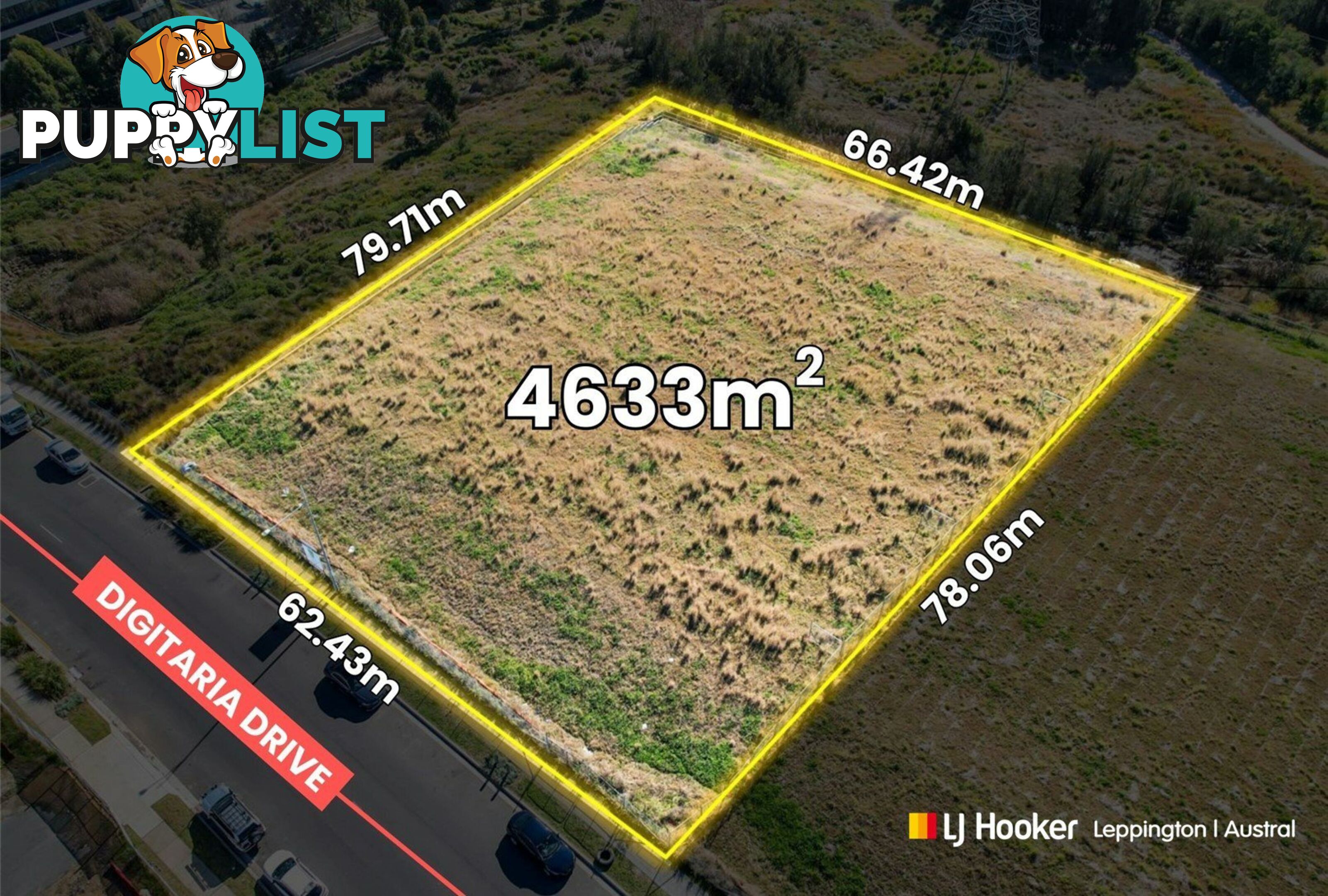 GLEDSWOOD HILLS NSW 2557