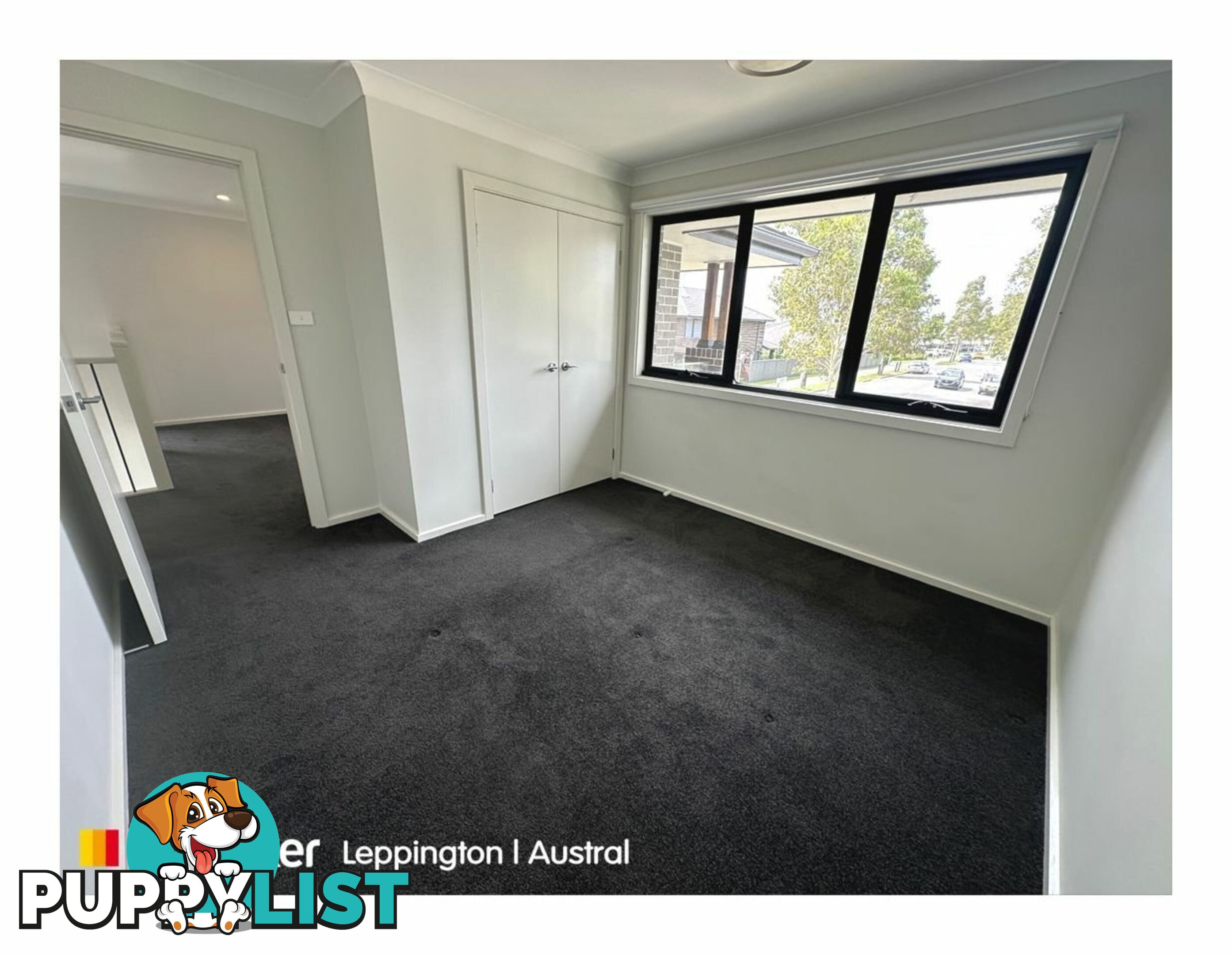 16 Fanflower Avenue DENHAM COURT NSW 2565